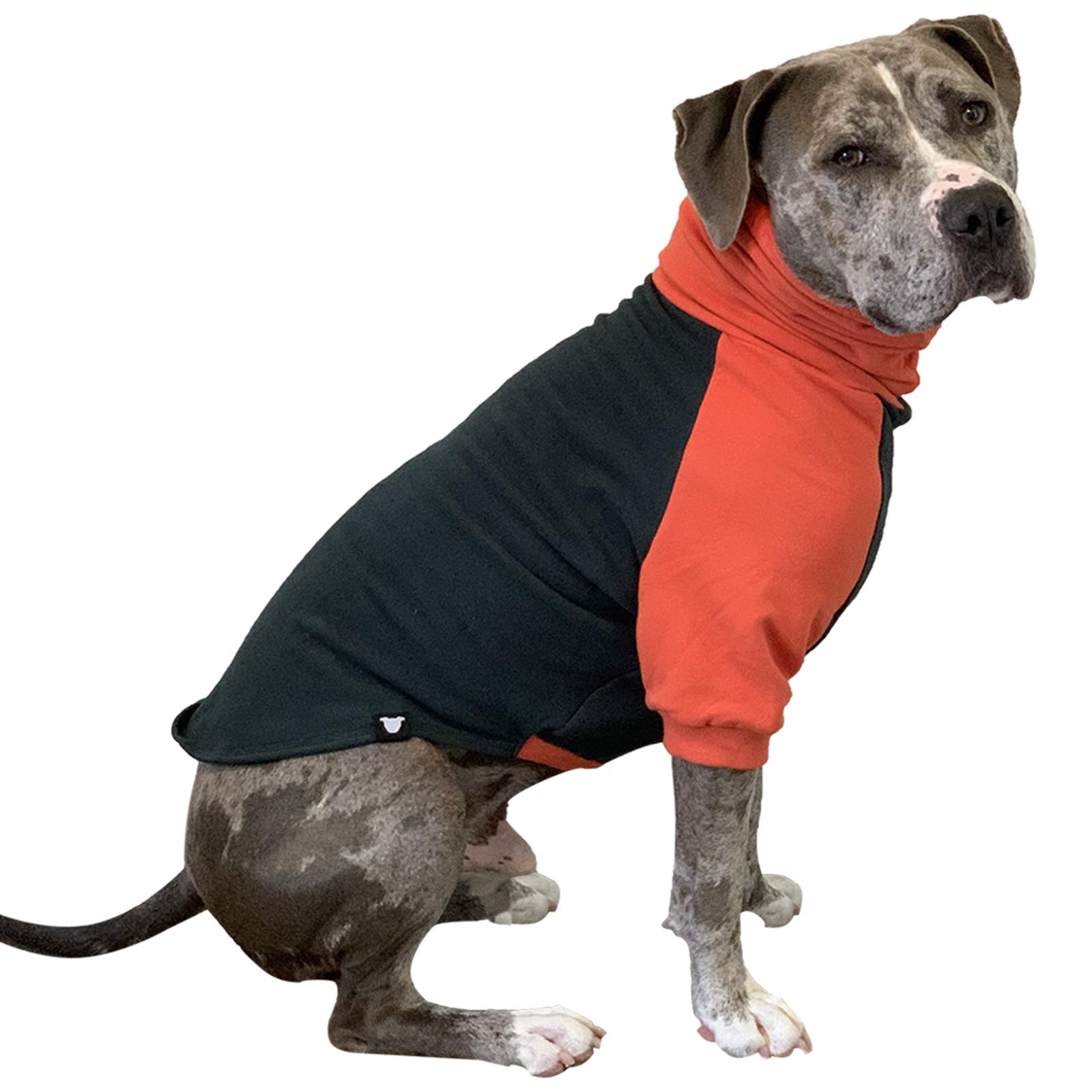 **Pitbull Large Dog Sweater - Warm & Cozy Dark Green & Orange Dog Sweatshirt for Medium Dogs - Perfect for Winter Walks & Outdoor Adventures**