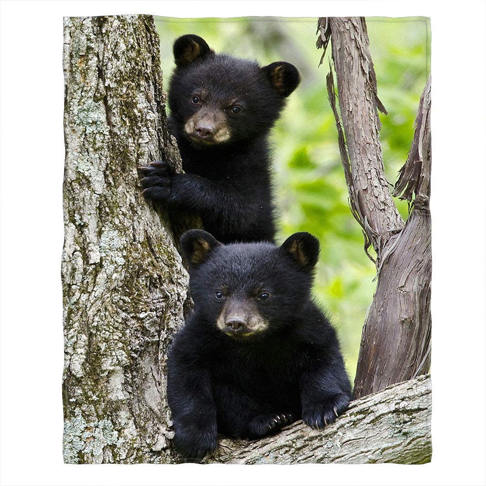 Soft Cozy Throw Blanket - Black Bear Family Forest Design - Fuzzy Plush Couch & Bed Blanket for Adults & Kids - 30x40 Inches Polyester - Perfect for Home, Travel, Camping & Gift Giving