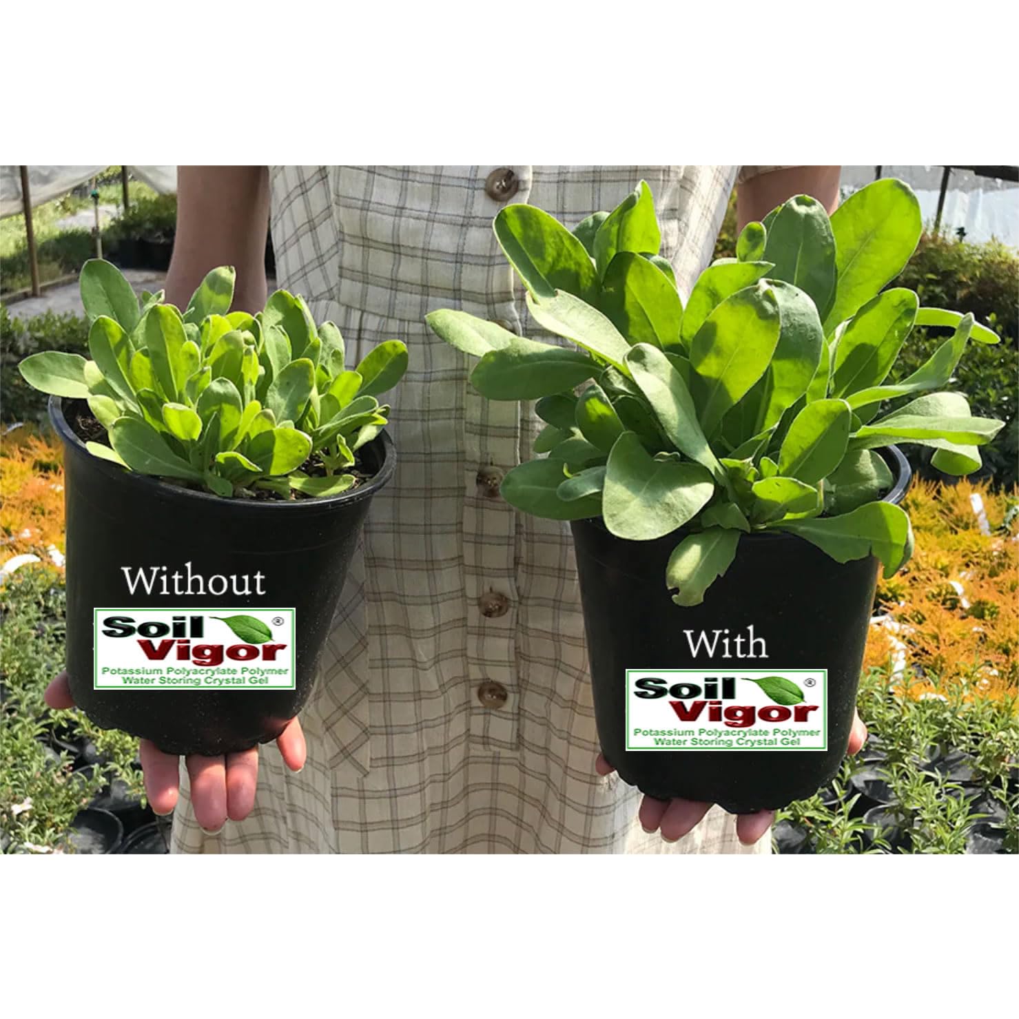Premium Water Storing Crystal Soil Additive - Commercial Grade Hydrogel for Plants (2 Pack) | Ideal for Indoor/Outdoor Gardening, Landscaping & Drought-Resistant Plant Care