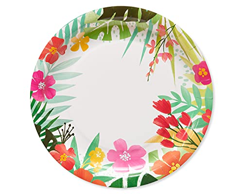 Dinner Plates