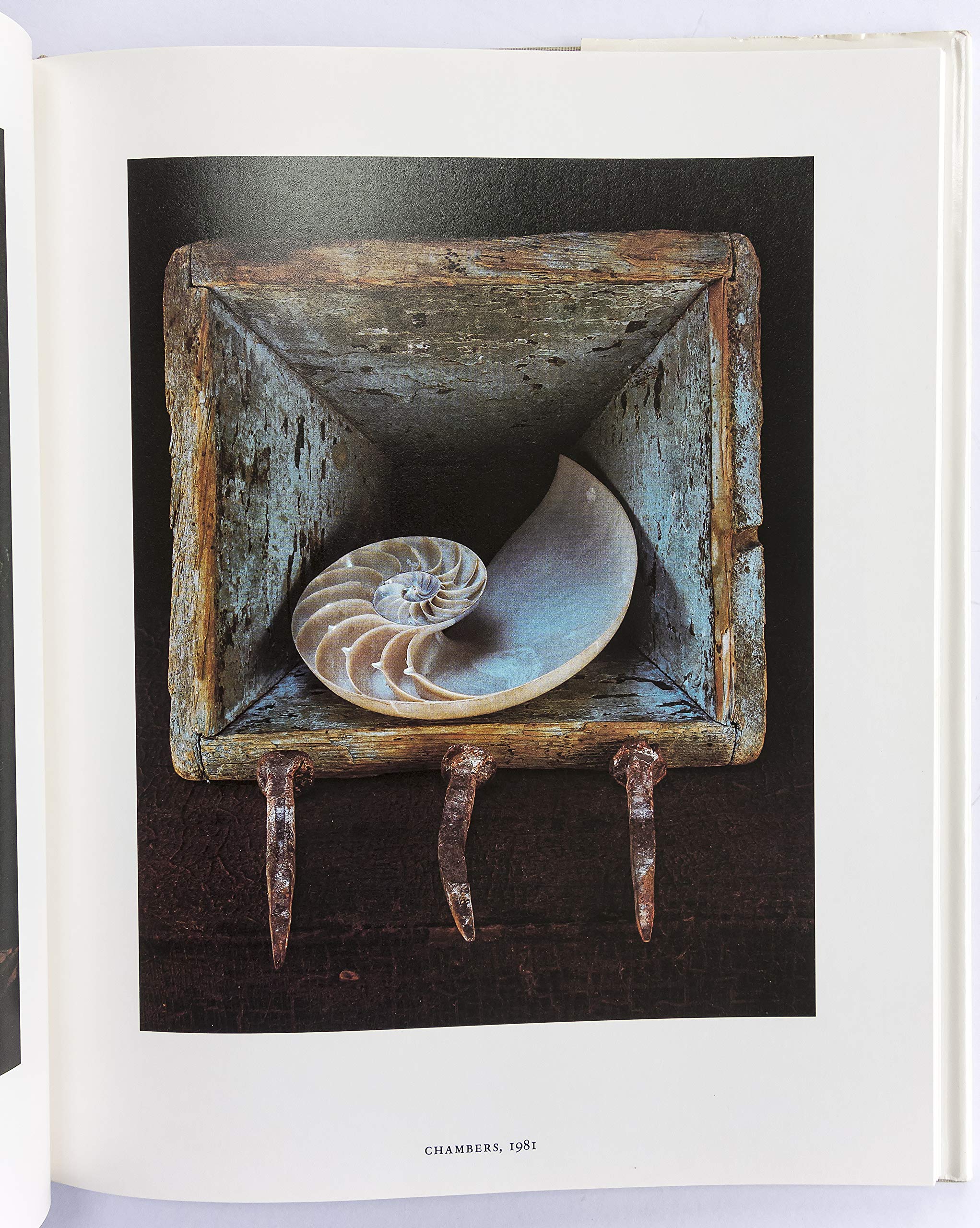 Under the Looking Glass - A New York Graphic Society Book | Art Book for Home Decor & Gift Ideas