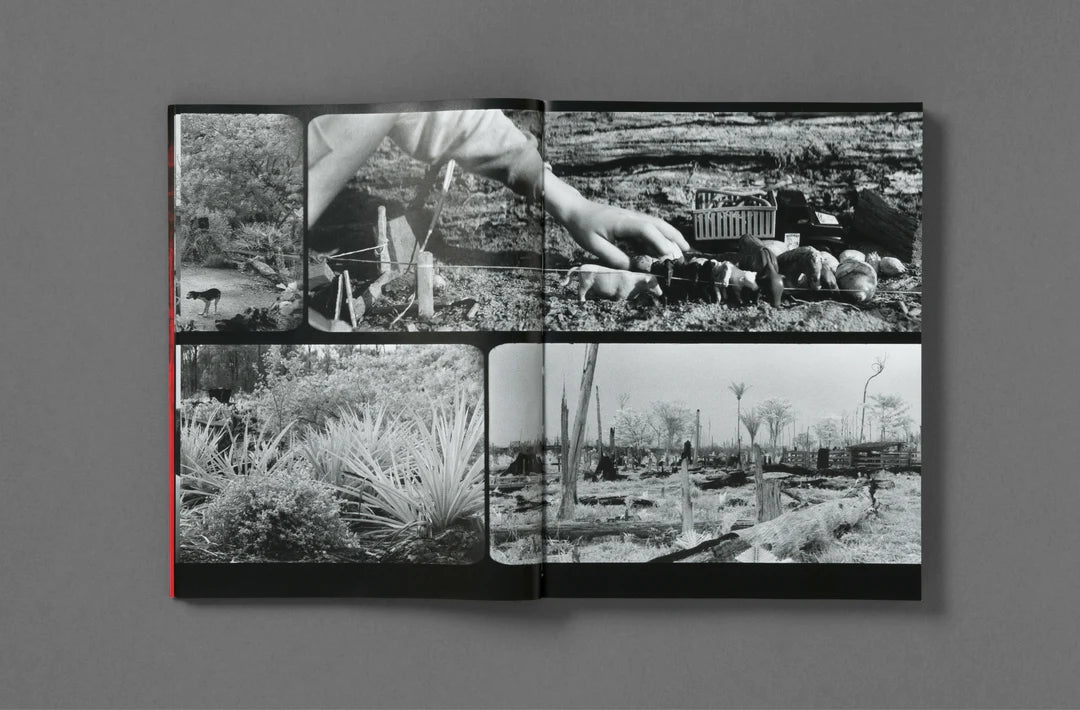 Broken Spectre by Richard Mosse - Limited Edition Photography Book - Contemporary War Documentary Art - Perfect for Art Collectors & Photography Enthusiasts
