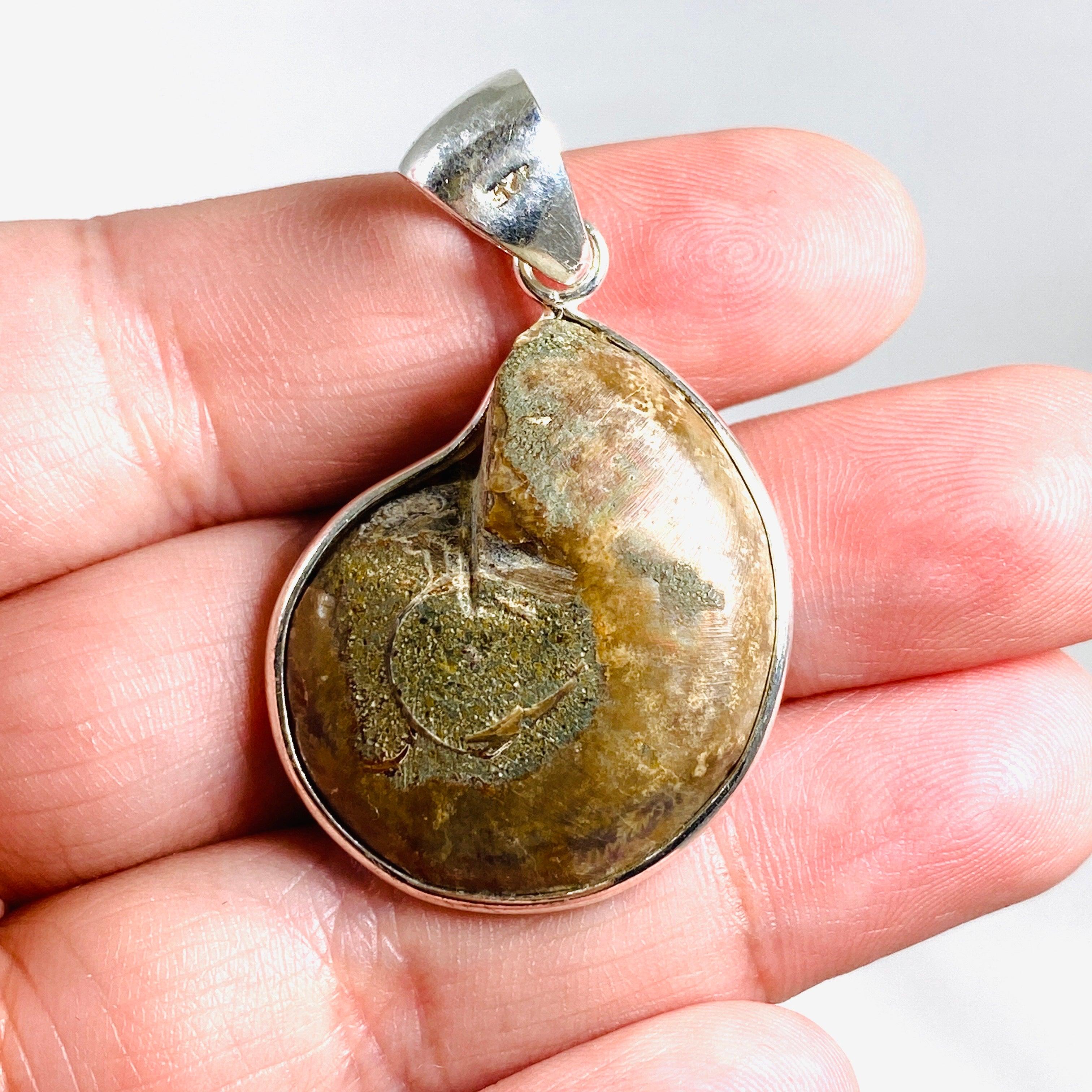 Natural Ammonite Shell Pendant Necklace - Unique Fossil Jewelry for Women & Men - Perfect for Boho Style, Spiritual Healing & Gift Giving