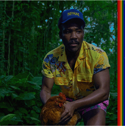 Childish Gambino - Bando Stone and The New World Vinyl LP (Pre-Order) | Limited Edition Collectible Music Album for Home Listening & Gift Giving