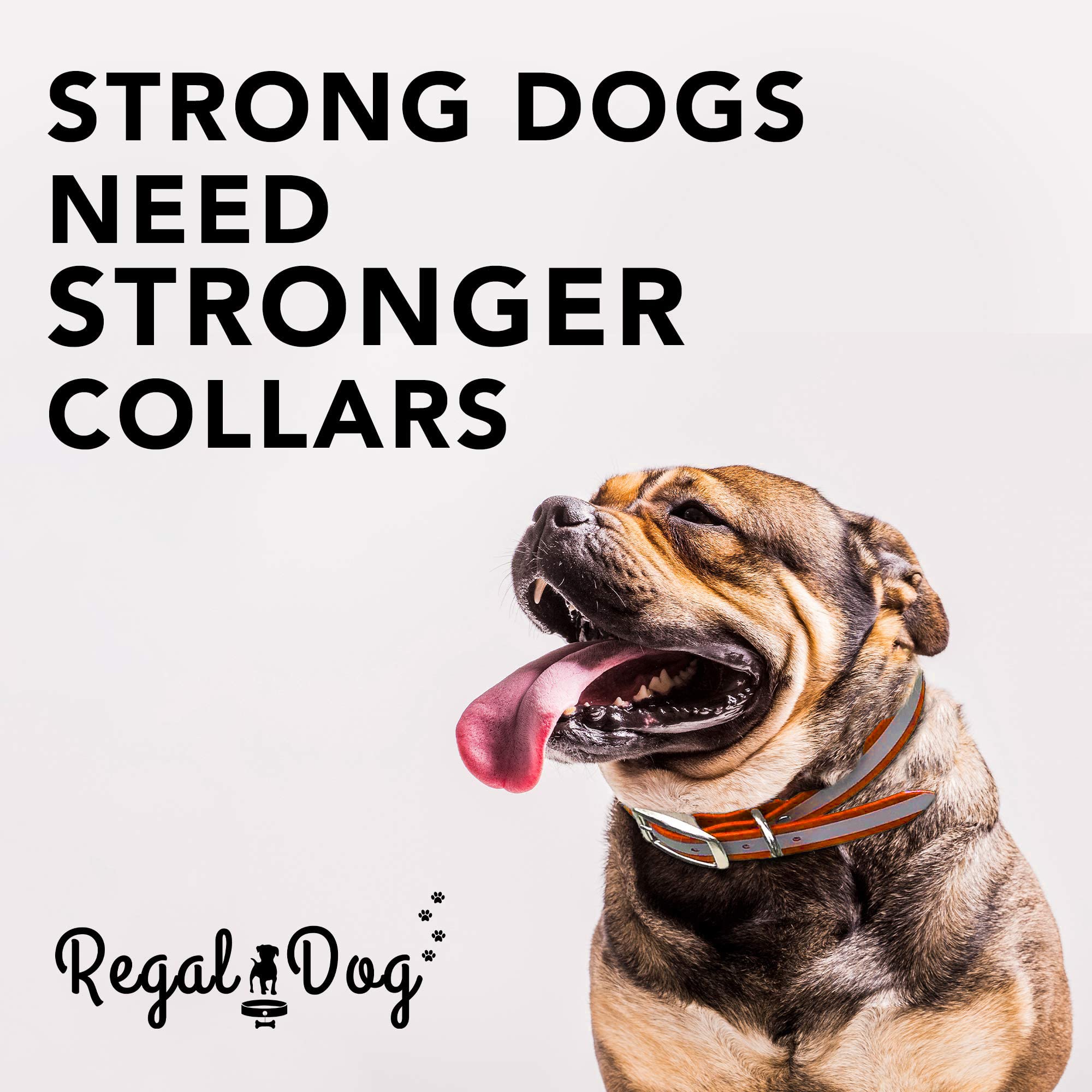 Regal Dog Products Heavy Duty Reflective Dog Collar - Large Orange Adjustable Collar with Durable Metal Buckle & D-Ring | Chew Proof & Waterproof Design for Small, Medium & Large Dogs | Perfect for Night Walks, Hiking & Outdoor Adventures