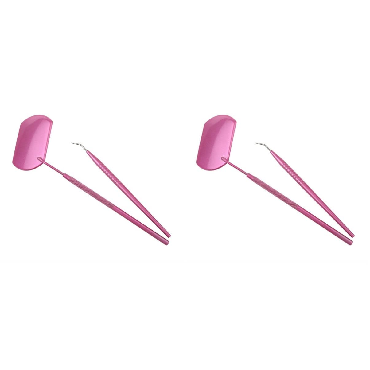2 Sets Professional Eyelash Extension Tools - Lash Pick Up Stick & Beauty Assistant for Perfect Lash Application | Salon & Home Use for Women & Girls