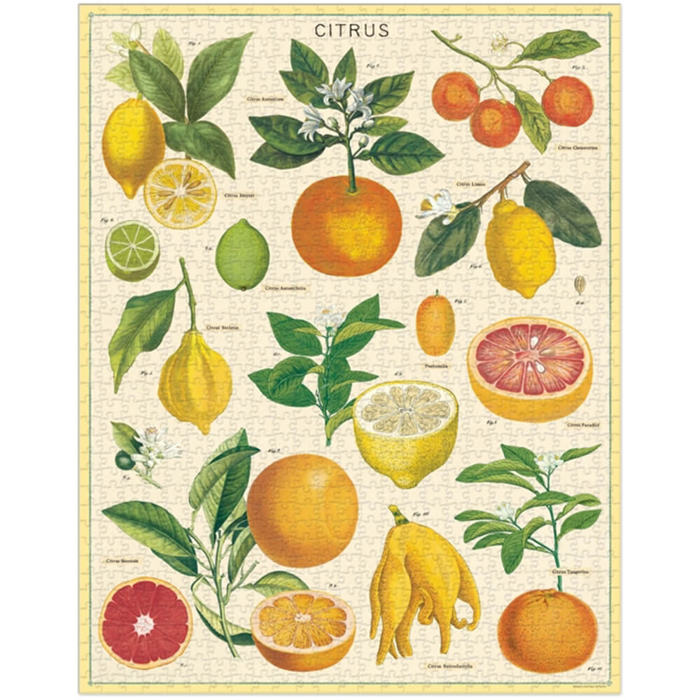 1000 Piece Citrus Puzzle - Colorful Fruit Jigsaw for Adults & Teens - Perfect for Family Game Night & Relaxation