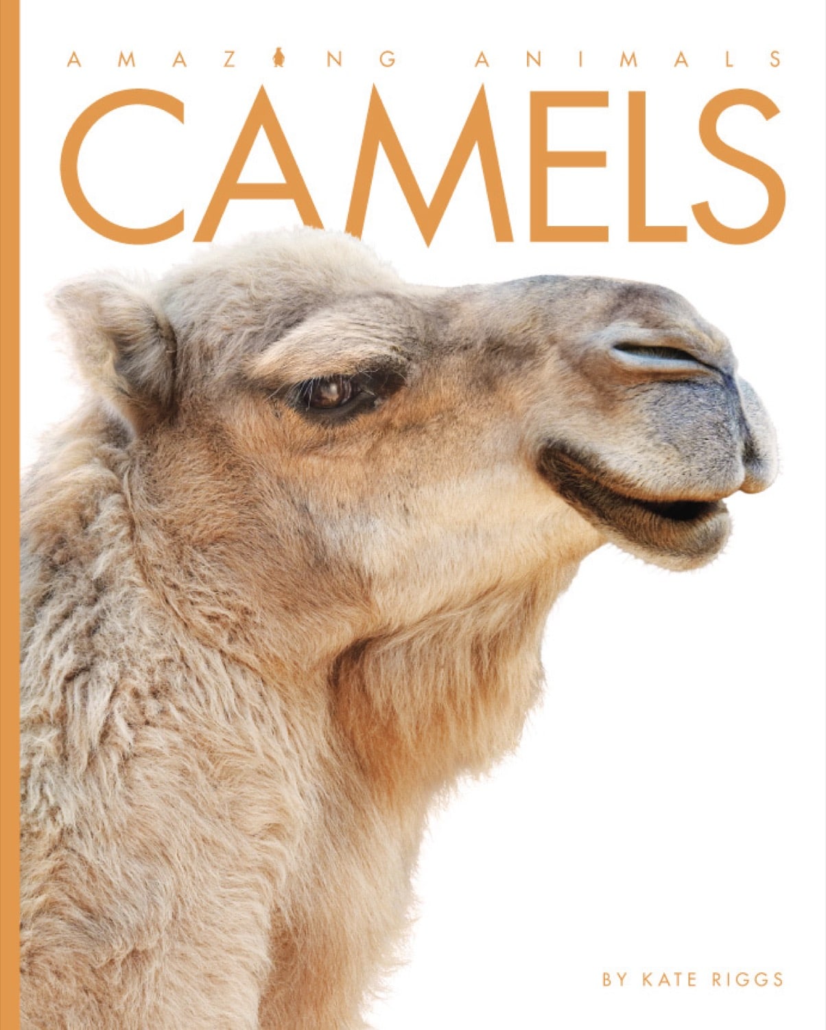 Amazing Animals (2014): Camels - Educational Wildlife Documentary for Kids & Adults - Perfect for Classroom Learning and Nature Enthusiasts