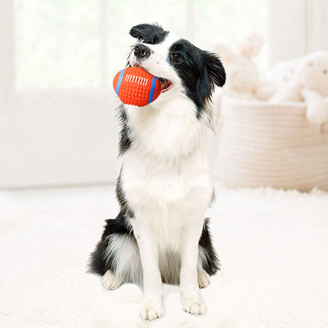 Durable Pet Tennis Balls for Dogs - Non-Toxic Chew Toys for Small, Medium & Large Dogs | Interactive Fetch & Training Toy for Outdoor Exercise, Backyard Play & Dog Park Fun