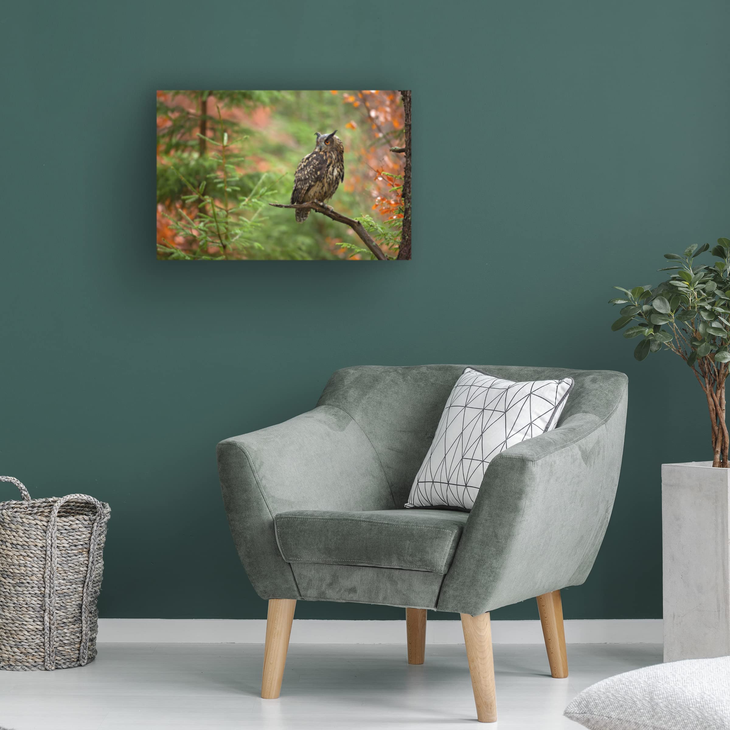 Trademark Fine Art 'Eurasian Eagle Owl' Canvas Wall Art by Milan Zygmunt - Premium Wildlife Home Decor for Living Room, Bedroom & Office