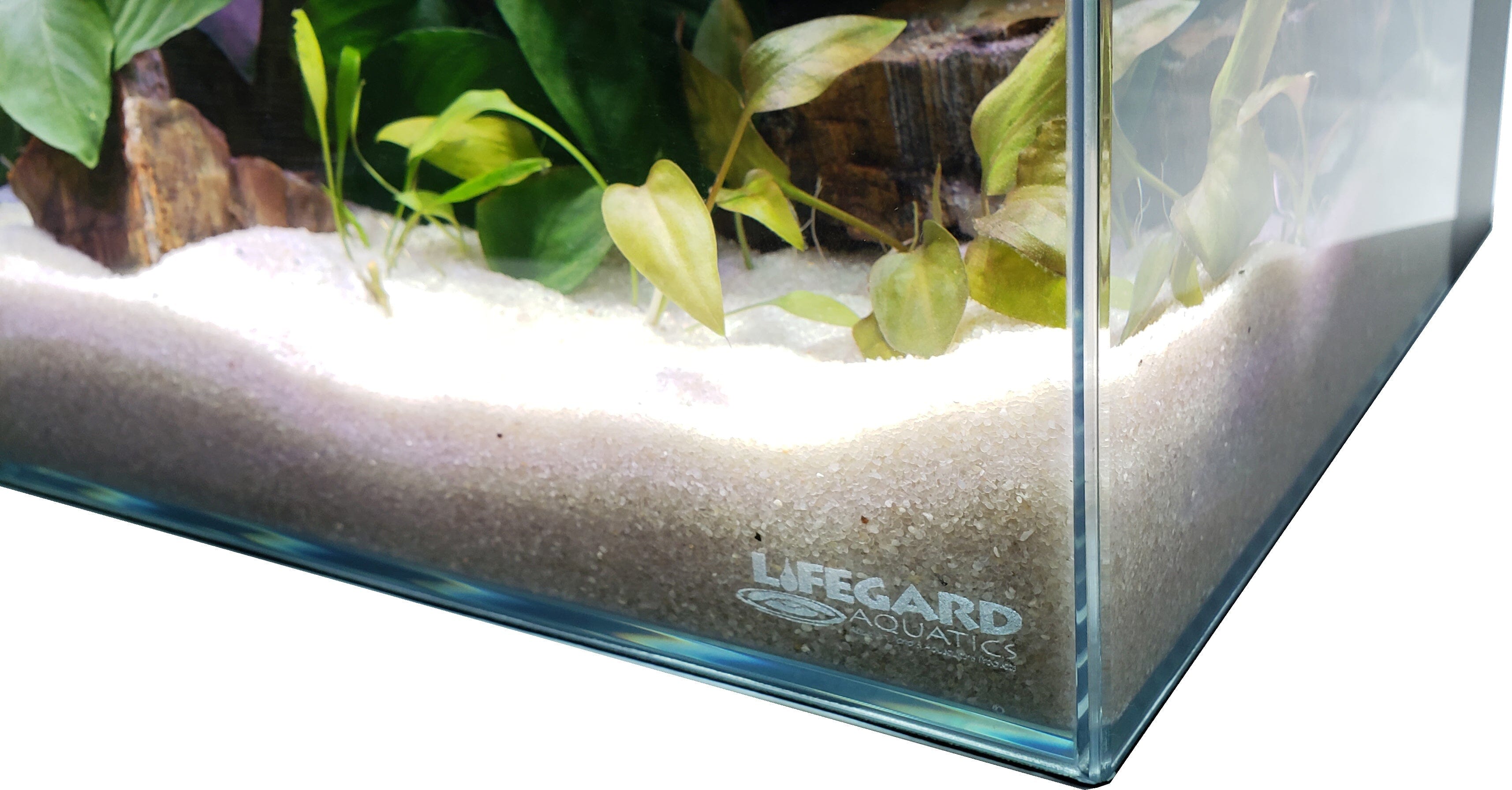 Lifegard Aquatics 5.44 Gallon CRYSTAL Rimless Low Iron Ultra Clear Glass Aquarium Tank - Perfect for Betta Fish, Shrimp, or Nano Reef Setup in Home/Office Decor
