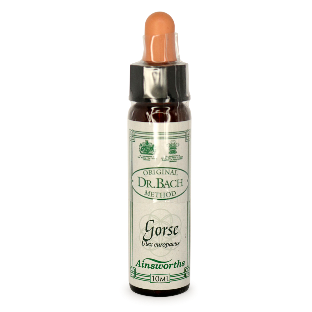 Ainsworths Bach Flower Remedies Gorse - Natural Flower Essence for Emotional Balance & Well-Being | Perfect for Stress Relief, Anxiety & Mood Support
