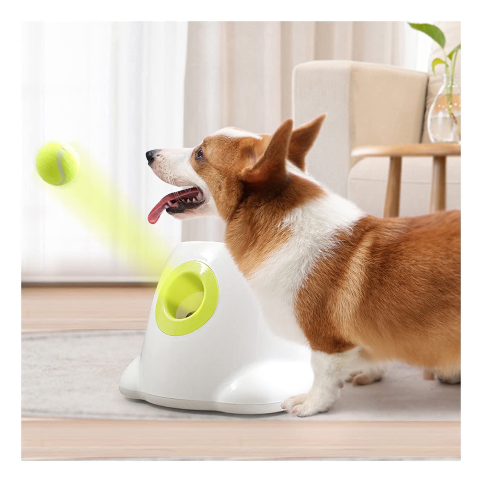 Automatic Dog Ball Launcher for Small Dogs - Tennis Ball Thrower with 3 Durable Pet Tennis Balls | Perfect for Backyard Play, Park Fetch & Outdoor Dog Training