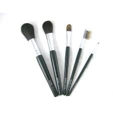 Premium 5-Piece Black Makeup Brush Set with Pink Beauty Blender - Soft Bristles for Women & Girls - Perfect for Foundation, Blush, Eyeshadow & Contouring (Pack of 6)