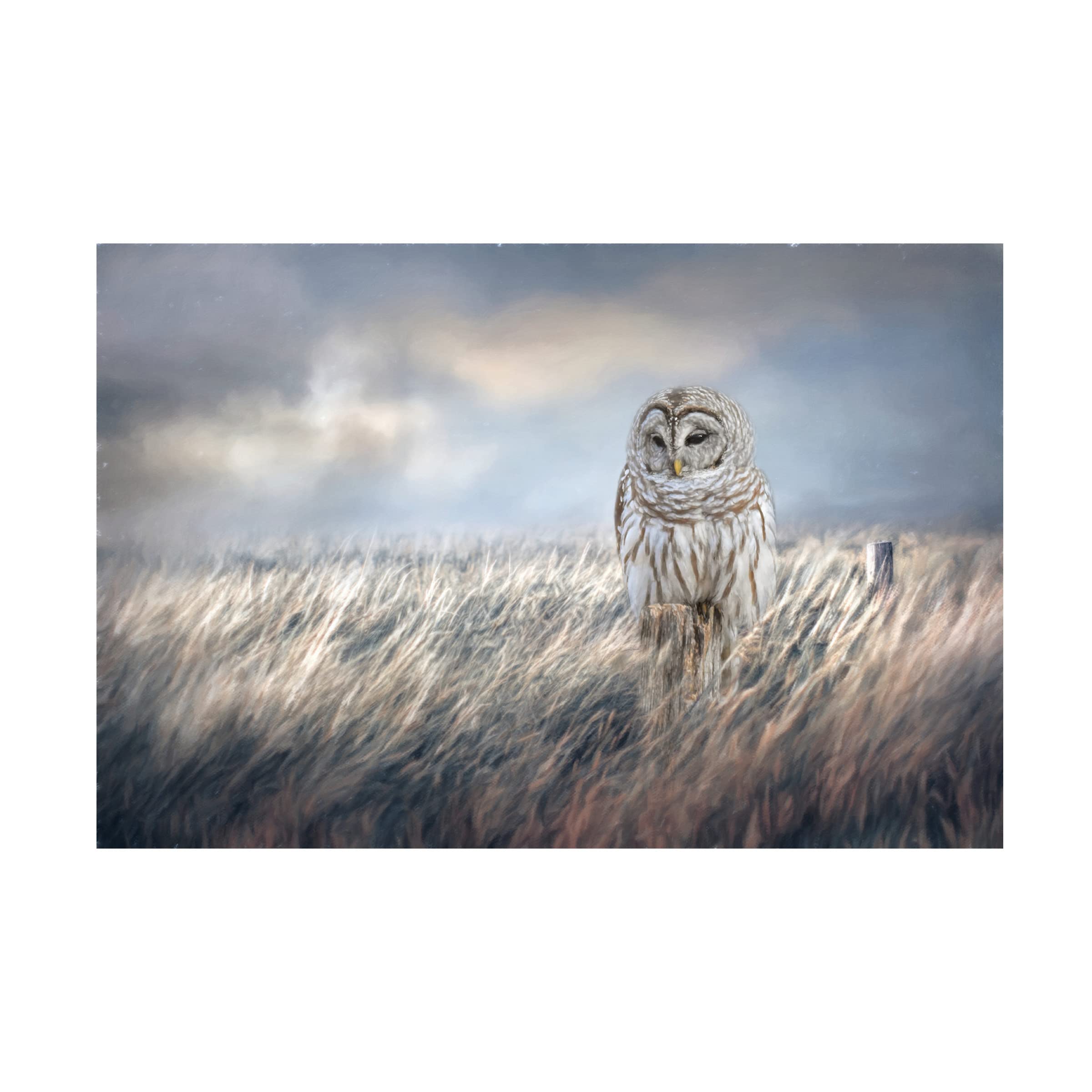 Trademark Fine Art 'Field Seeker' by Jai Johnson - 22x32 Inch Canvas Wall Art for Living Room, Bedroom & Office Decor | Nature Landscape Painting