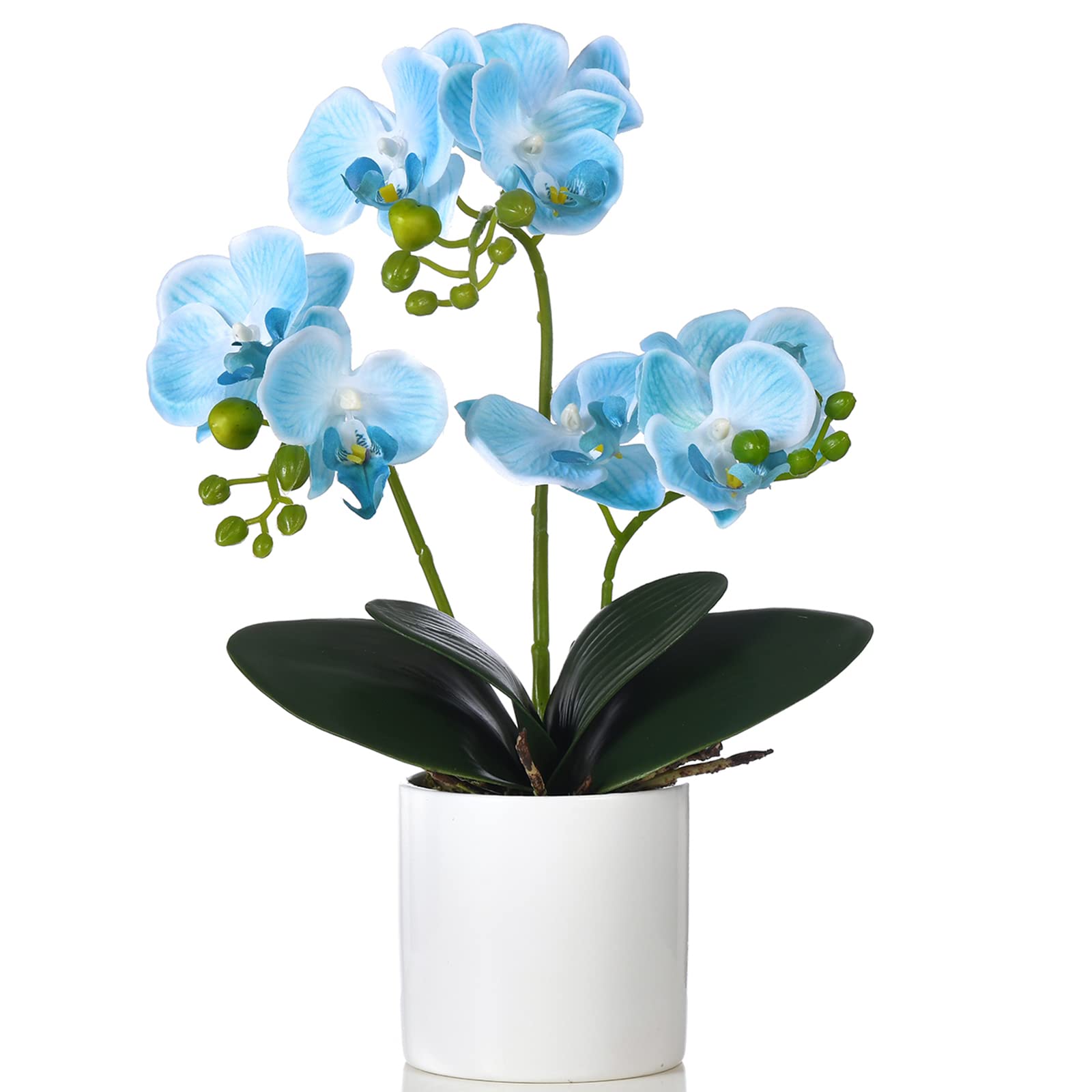 Premium Artificial Orchid Flowers in Vase - Silk Phalaenopsis Floral Arrangement for Home & Office Decor, Table Centerpiece, Blue | Perfect for Living Room, Bedroom, Wedding & Event Decorations