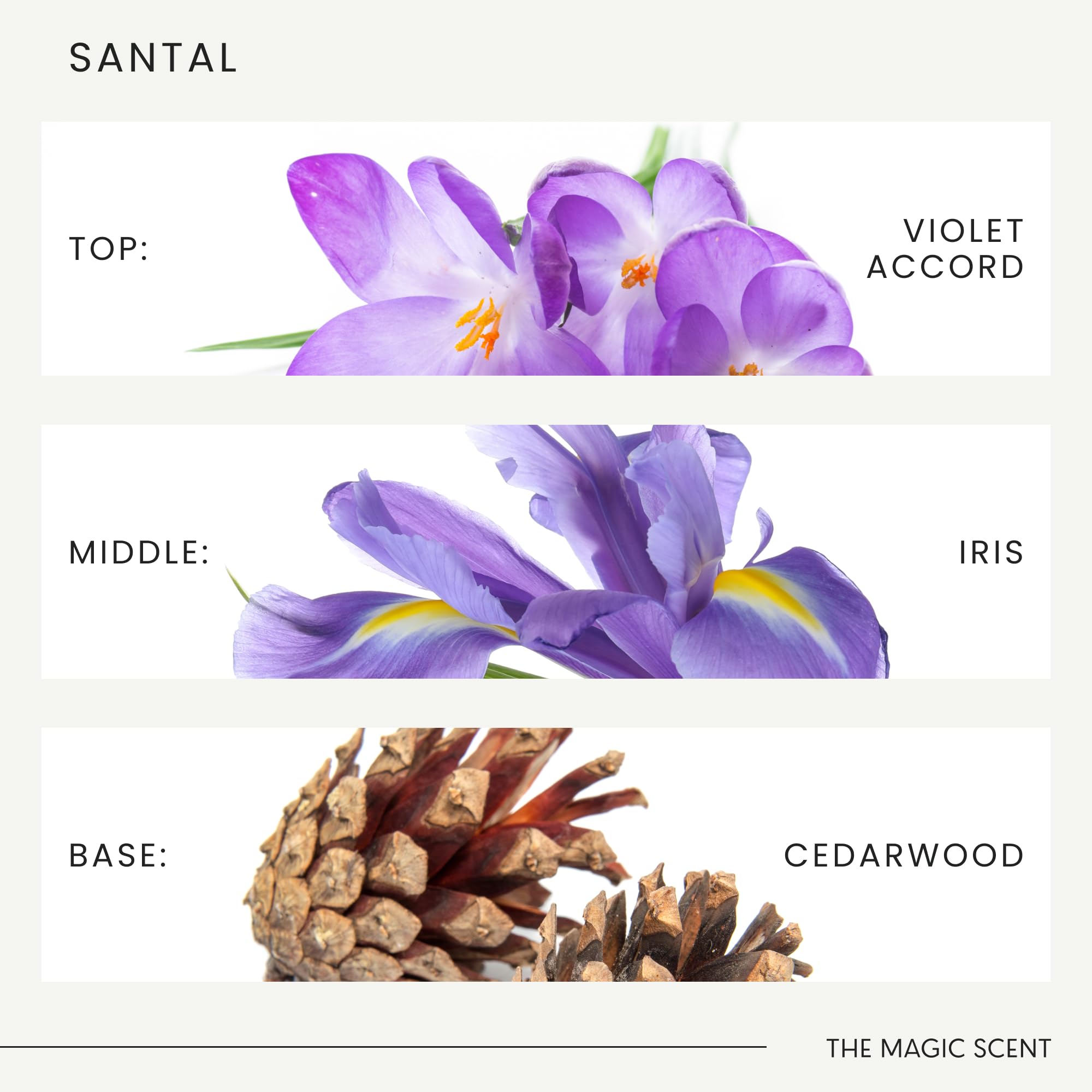 Premium Santal Fragrance Oil for Diffusers - 100% Pure Sandalwood Essential Oil for Aromatherapy, Home & Office - Cold-Air & Ultrasonic Diffuser Compatible - 4 fl oz (120mL) - Perfect for Relaxation, Meditation & Stress Relief