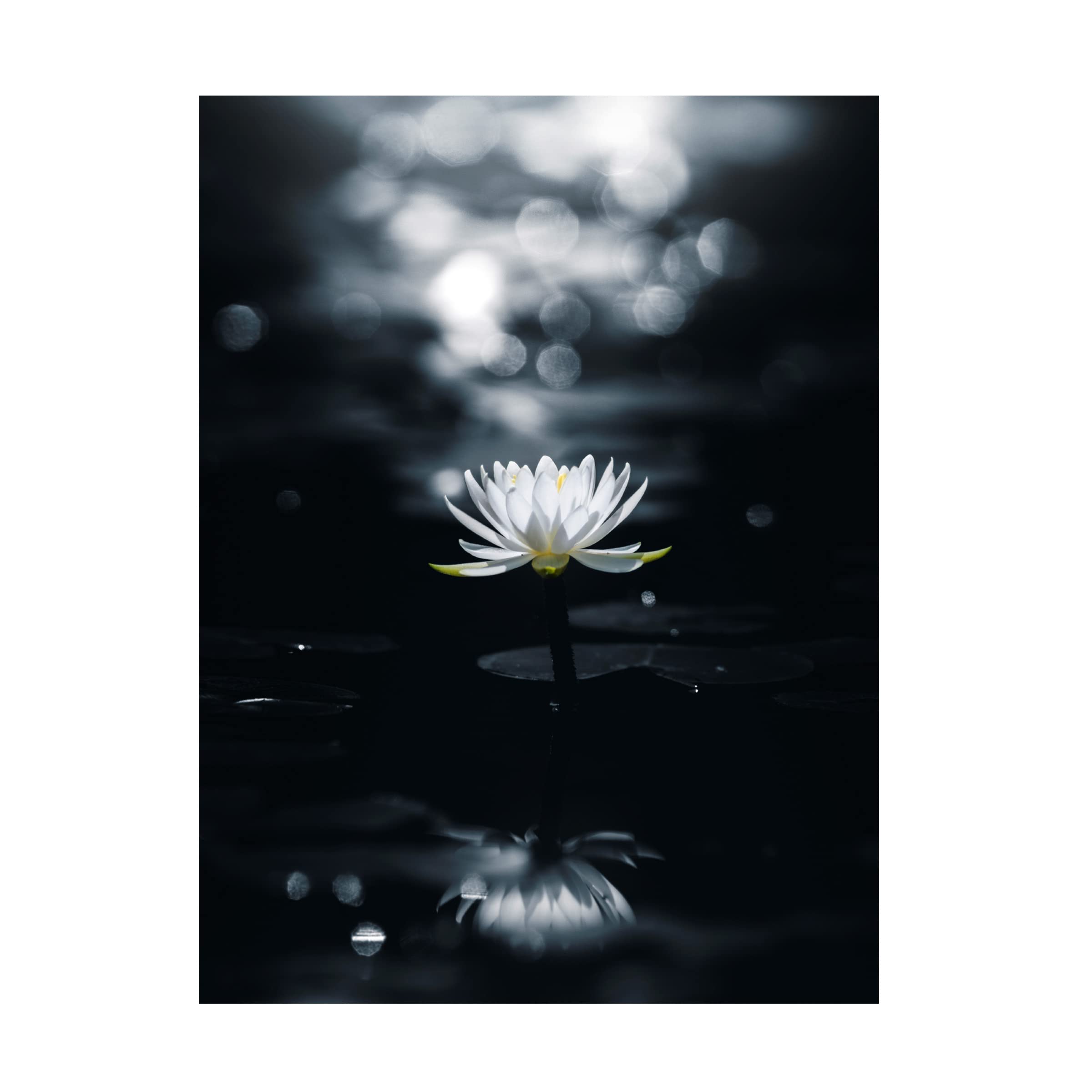 Reflection Canvas Art by Takashi Suzuki - Modern Abstract Wall Decor for Living Room, Bedroom & Office - Premium Trademark Fine Art Print