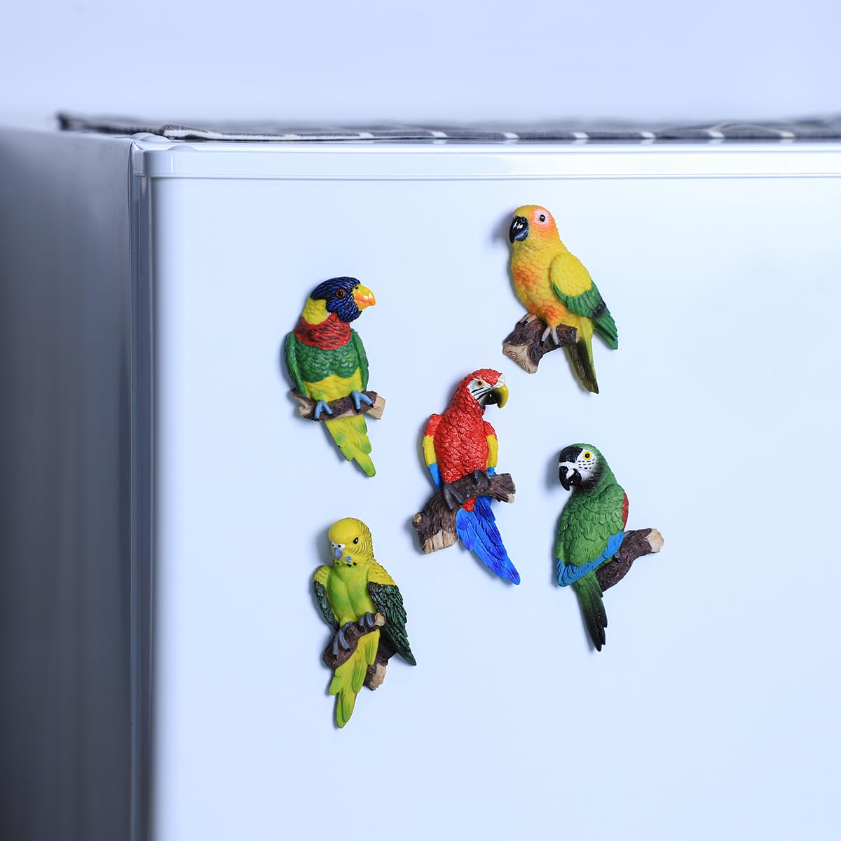5 PCS Parrot Fridge Magnets - Strong Refrigerator Magnets for Kitchen, Office Lockers, Whiteboards & Classroom Decor - Fun Animal Magnets for Kids & Adults