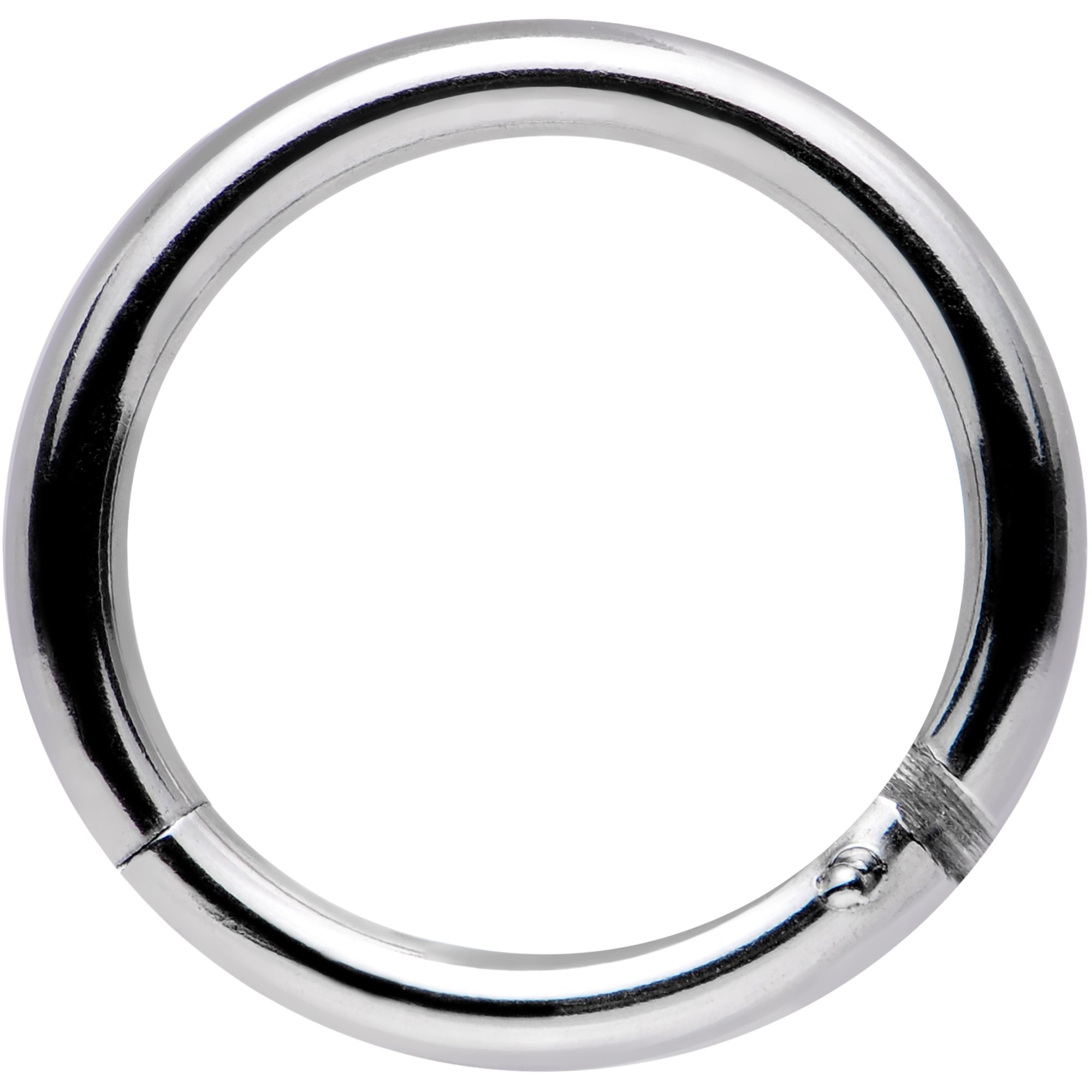 Stainless Steel Hinged Segment Ring Circular Barbell - 14 Gauge 3/8