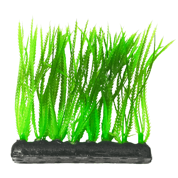 Premium Narrow Leaf Green Aquarium Plants (4 Pack) - Fish Gear for Freshwater Tanks, Aquascaping & Natural Fish Habitat