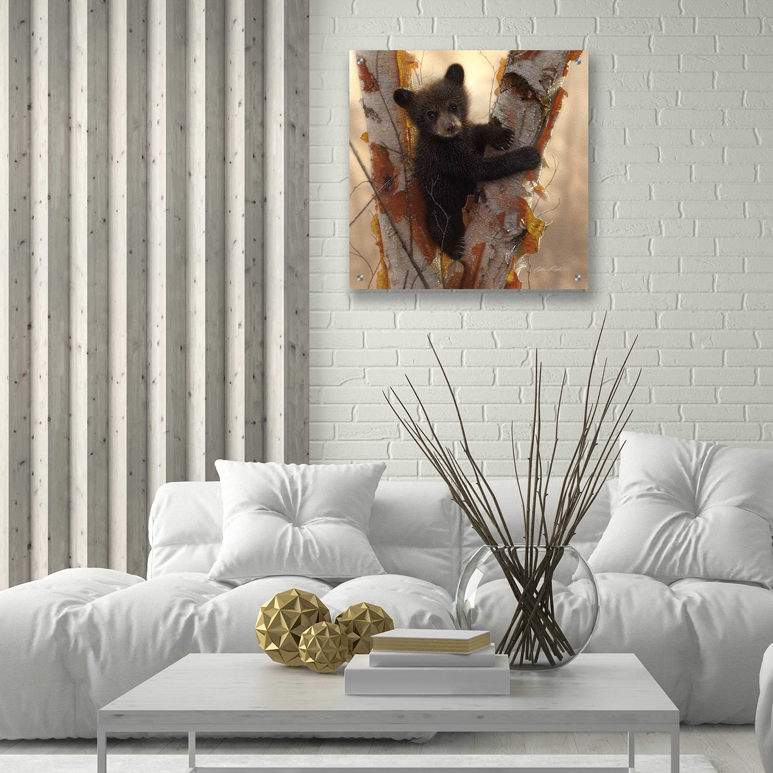 Curious Cub I by Collin Bogle - 24x24 Inch Acrylic Glass Wall Art Print, Wildlife Bear Cub Painting for Home & Office Decor, Perfect Gift for Nature Lovers