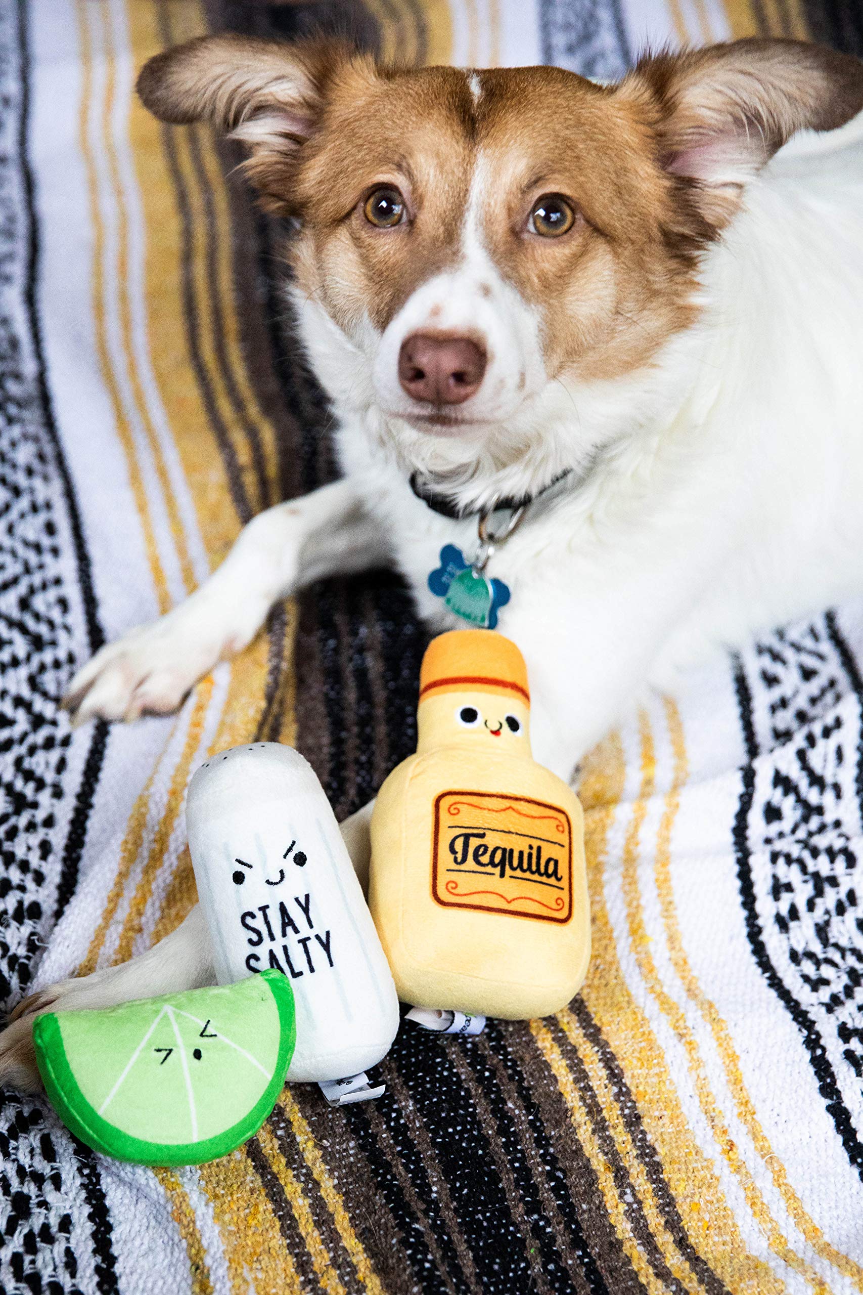 Pearhead Plush Squeaker Dog Toys & Cat Teaser Toys Set - Interactive Pet Play Toys for Dogs and Cats - Perfect for Training, Bonding & Playtime at Home or Outdoors