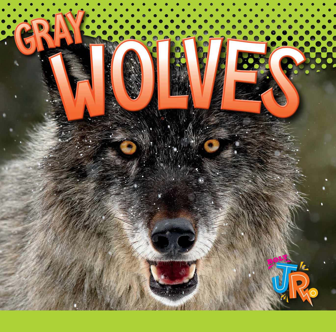 Gray Wolves Book - 9781623104511 | Wildlife Education, Nature Study & Animal Facts for Kids & Adults | Perfect for Homeschooling & Classroom Learning