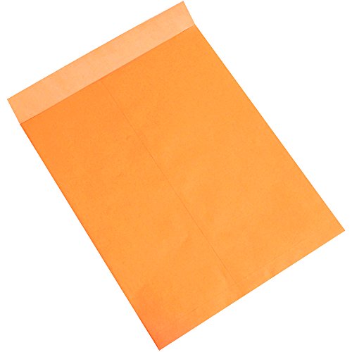 Partners Brand PEN1085 Jumbo Kraft Envelopes 18