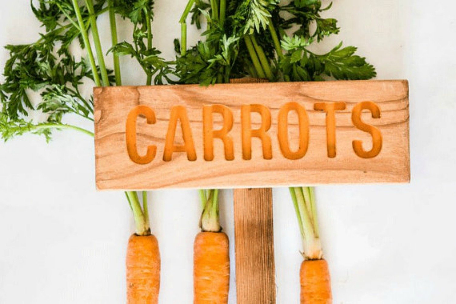 Handcrafted CARROTS Garden Sign - Personalized Cedar Wood Marker with Painted & Oil Sealed Finish - Perfect for Vegetable Gardens, Herb Planters & Outdoor Decor