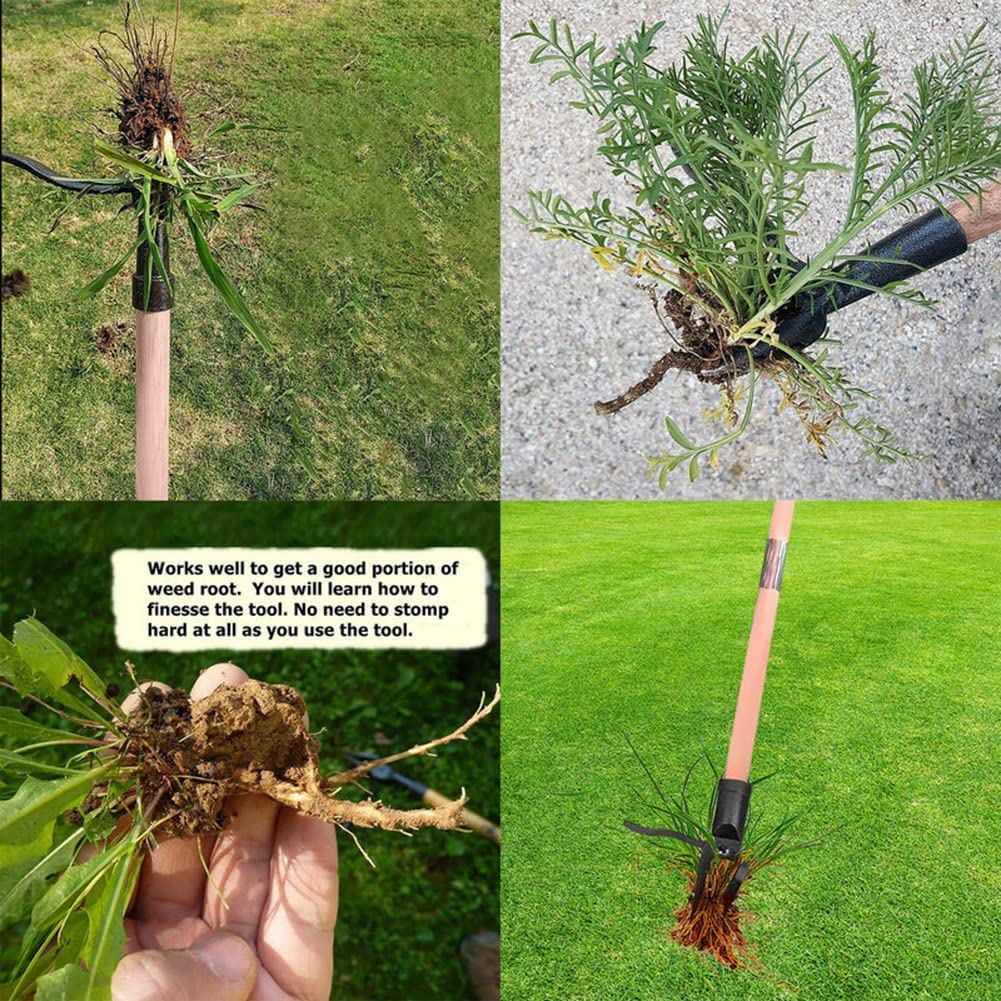 DSWINCE Stand Up Weed Puller Head Replacement - Ergonomic Gardening Hand Tool for Dandelions & Weeds - No Bending Root Extractor for Backyard, Lawn & Patio (Handle Not Included) - Perfect for Elderly Gardeners & People with Back Pain