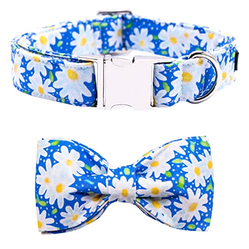 B-daisy