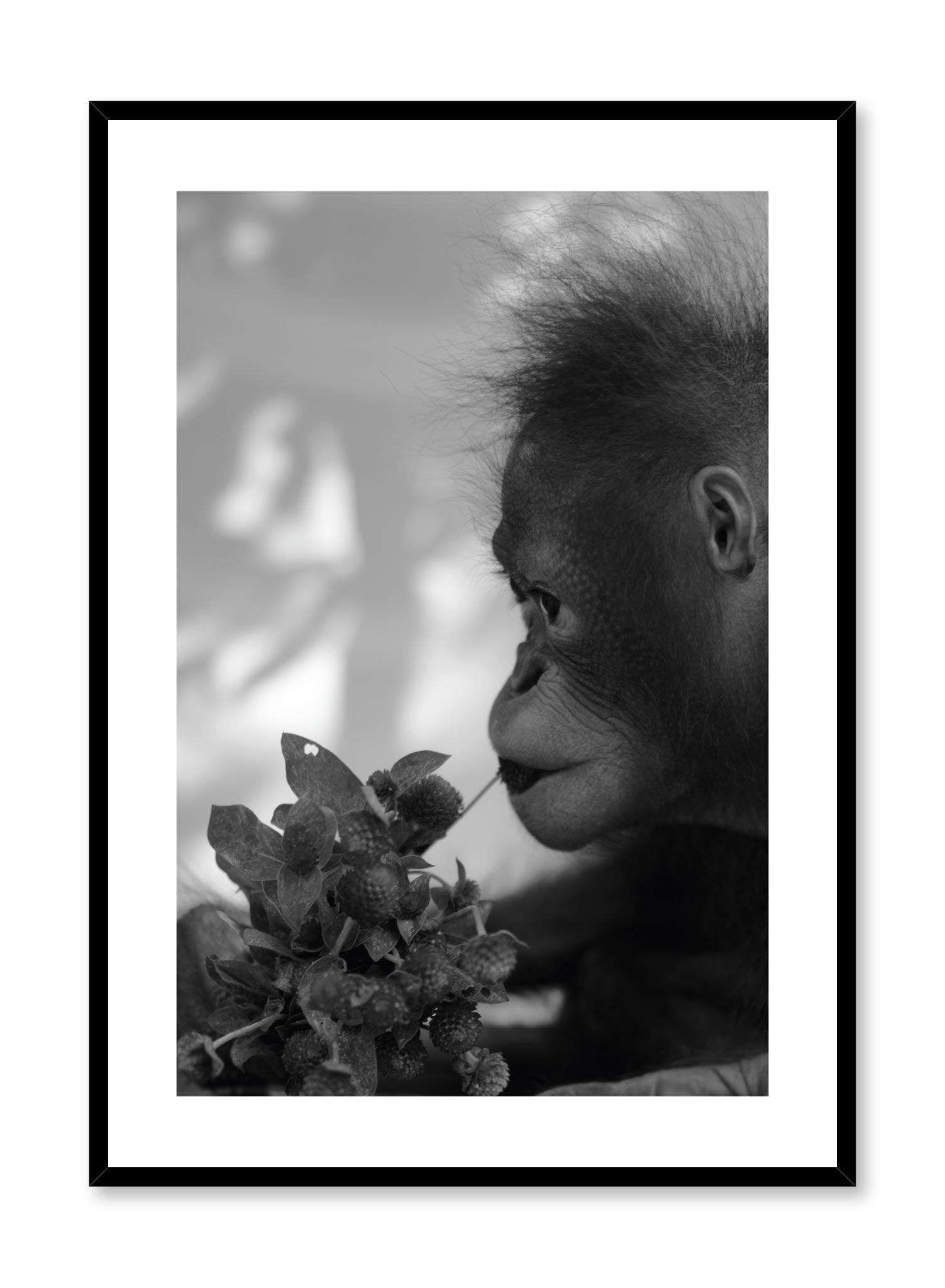 Hungry Monkey Poster - Cute Monkey Wall Art for Kids Room, Nursery Decor & Animal Lover Gift - Perfect for Bedroom, Playroom & Classroom Decorations