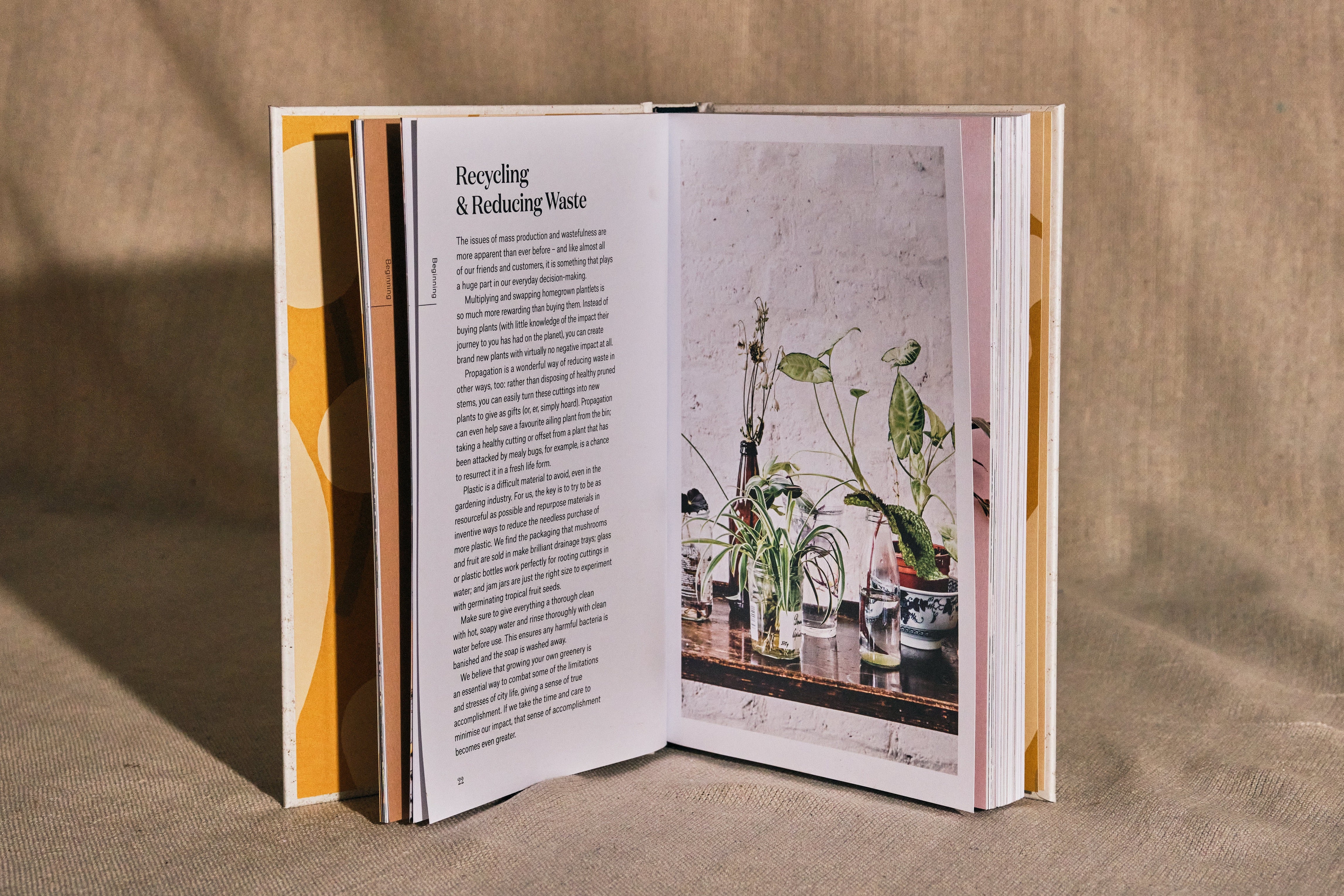 Root Nurture Grow Book - Gardening Guide for Healthy Plant Development | Perfect for Home Gardeners, Urban Farmers & Plant Enthusiasts