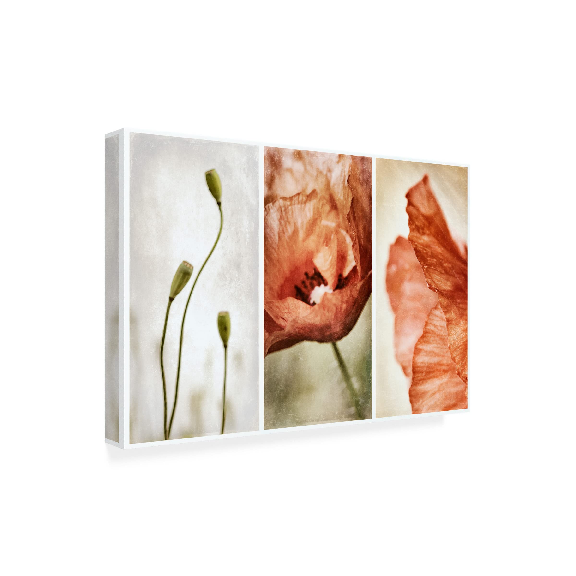 Trademark Fine Art 'Untitled' by Gustav Davidsson - Premium Canvas Wall Art for Living Room, Bedroom & Office Decor