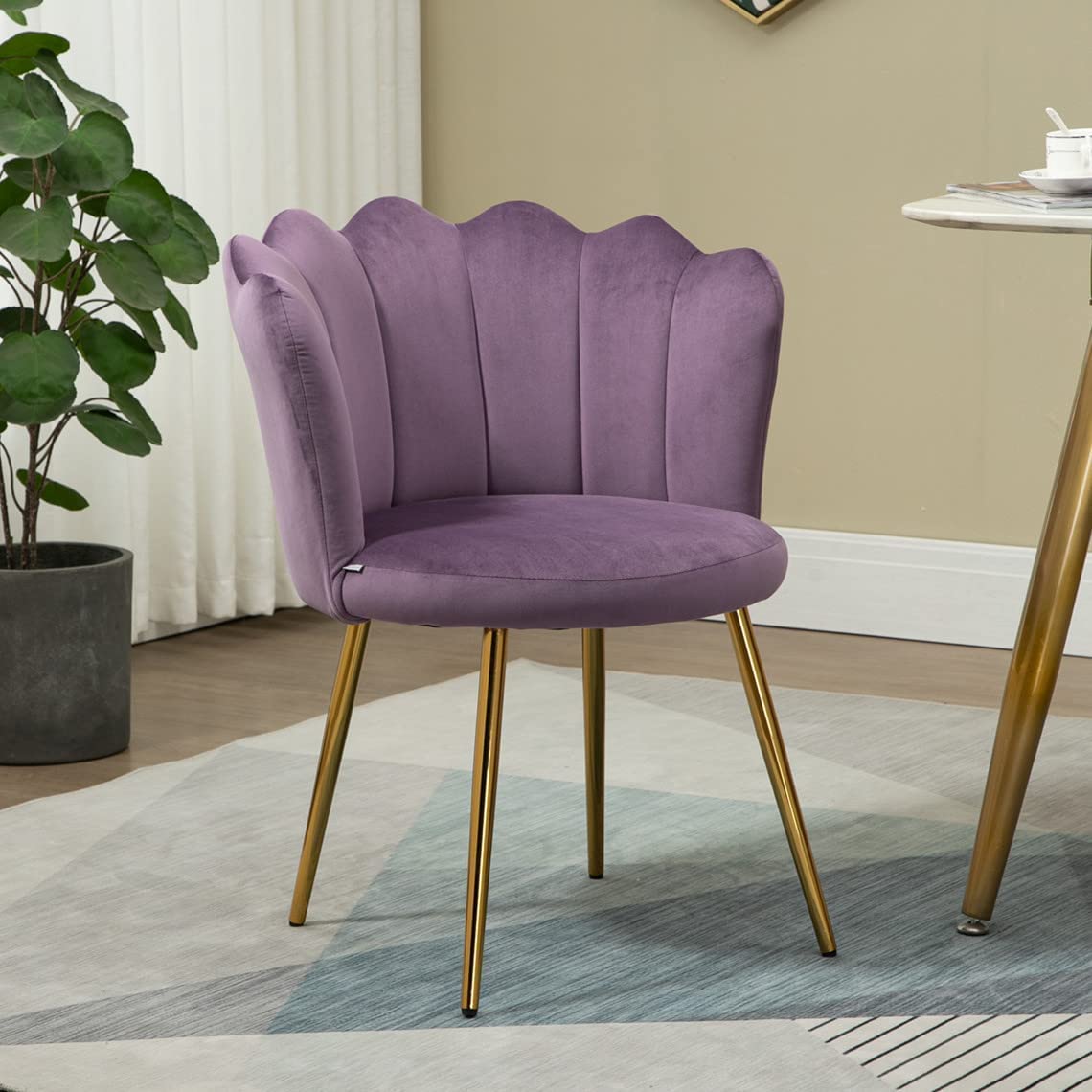 Goujxcy Velvet Upholstered Accent Chair - Elegant Vanity Chair with Seashell Back & Gold Legs for Makeup Room, Modern Office Guest Chair & Leisure Armchair for Living Room, Bedroom - Perfect for Home Decor, Makeup Vanity & Small Space Seating