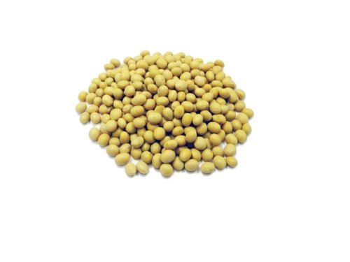 Organic Non-GMO Soya Beans 200g - Premium Quality Dried Soybeans for Cooking, Vegan Protein, Tofu & Soy Milk - Perfect for Asian Recipes, Healthy Snacks & Plant-Based Diets