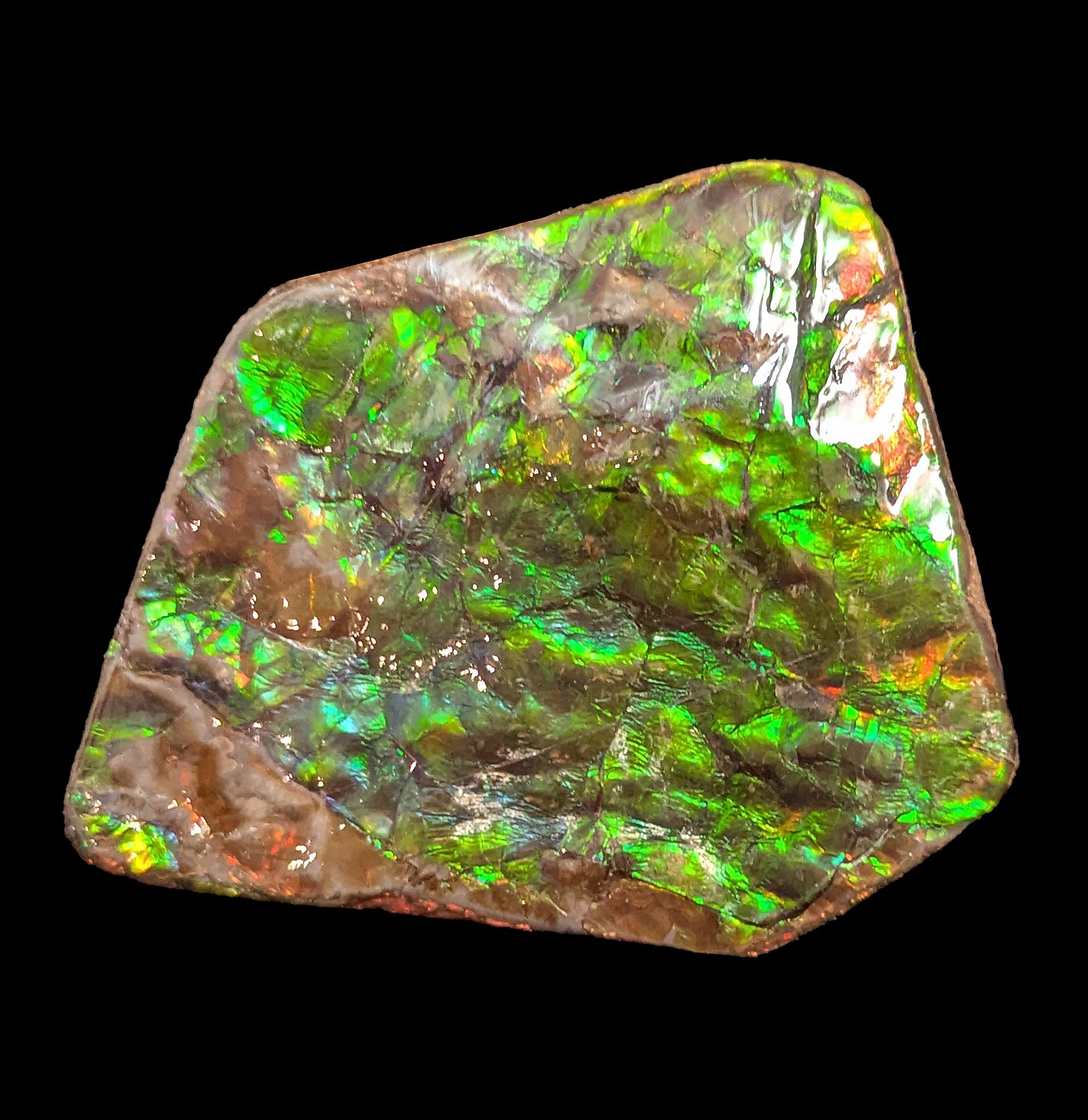 Natural Large Ammolite Gemstone Fragment - Rare Iridescent Fossilized Shell for Jewelry Making & Mineral Collection | Perfect for DIY Crafts, Home Decor, and Healing Crystal Displays