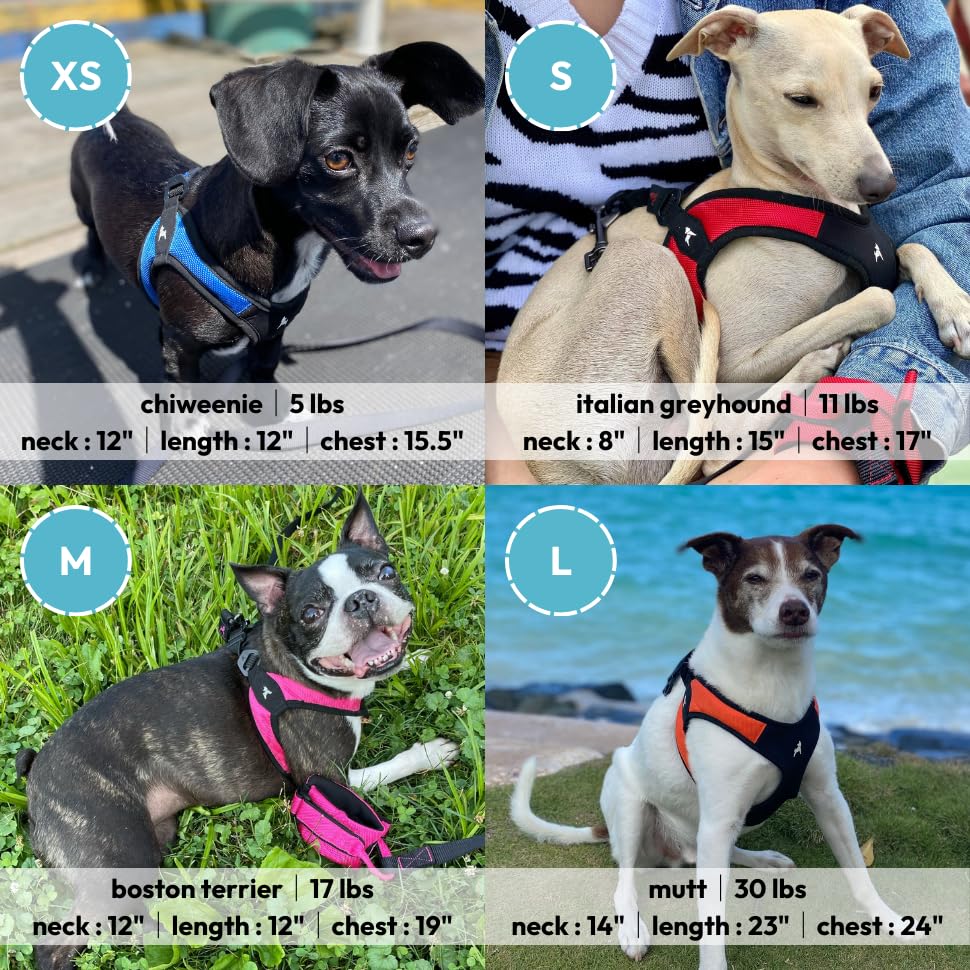 Gooby Escape Free Easy Fit No Pull Dog Harness - Small, Red - Step-in Design with Quick Release Buckle - Perfect for Small & Medium Dogs - Walking, Hiking & Travel Adventures