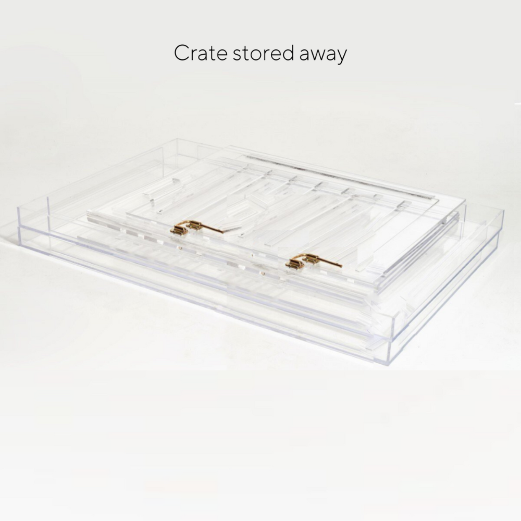 Clear Plastic Dog Crate with Removable Gate - Portable Pet Carrier for Small to Medium Dogs - Perfect for Travel, Training & Home Use