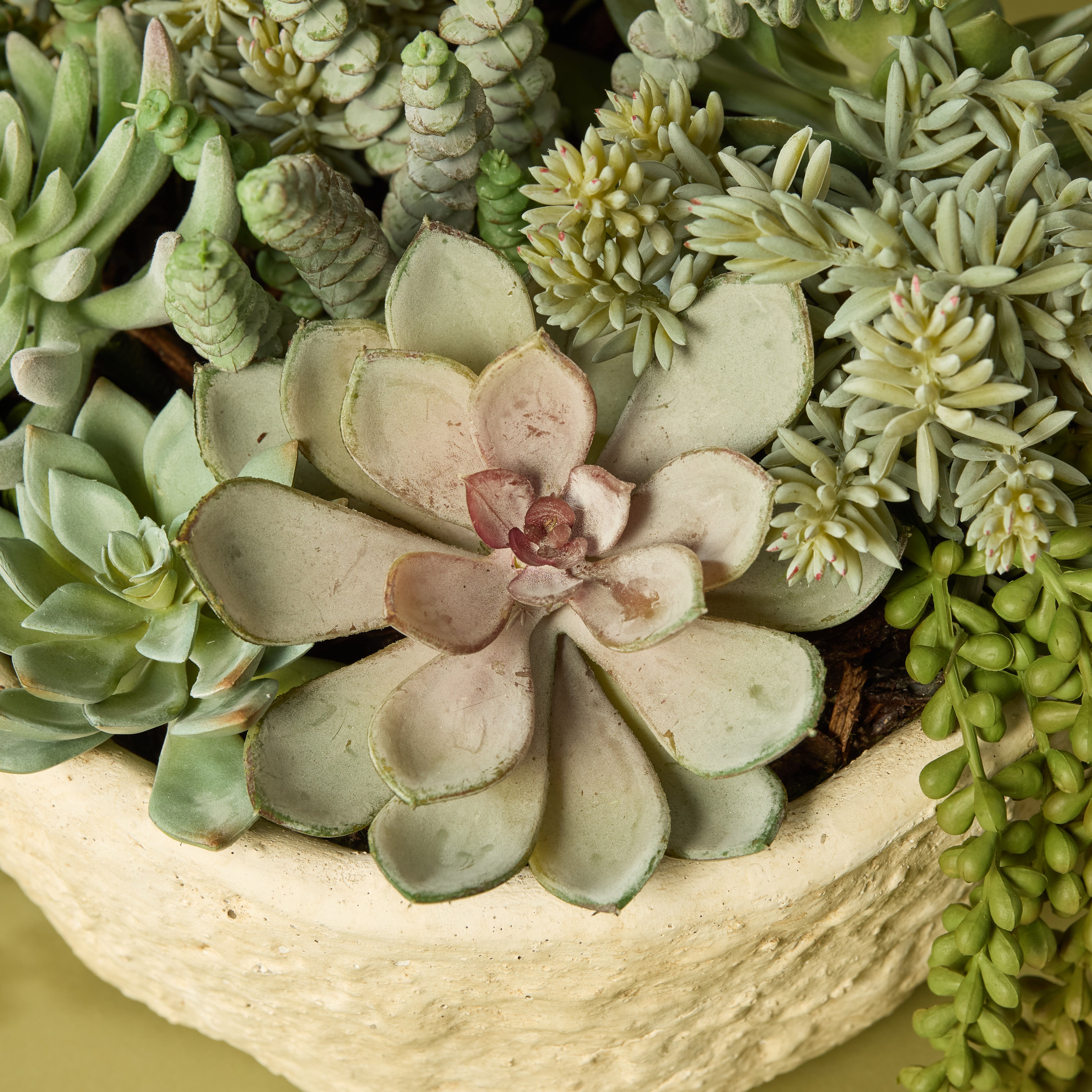 Artificial Succulent Plants in Textured Cement Planter | 29cm Tall | Perfect for Home Office Desk Decor & Indoor Greenery