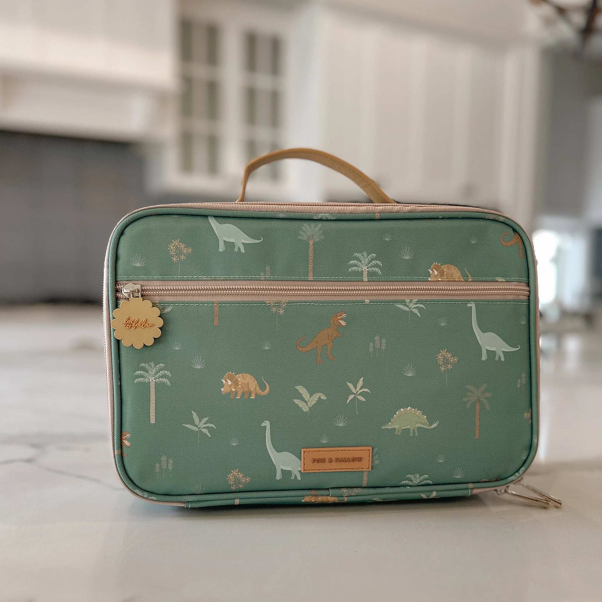 Dinosaur Insulated Lunch Box for Kids - BPA Free Thermal Cooler Bag for School, Picnic & Outdoor Activities