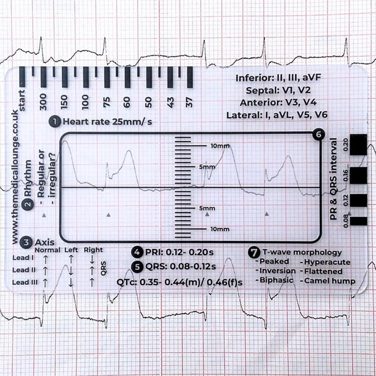 ECG 7 Step Ruler - Transparent Plastic EKG Caliper Measuring Tool for ECG/EKG Interpretation (2PCS) - Portable Medical Ruler for Doctors, Nurses & Students - Perfect for Hospital, Clinic & Medical Training