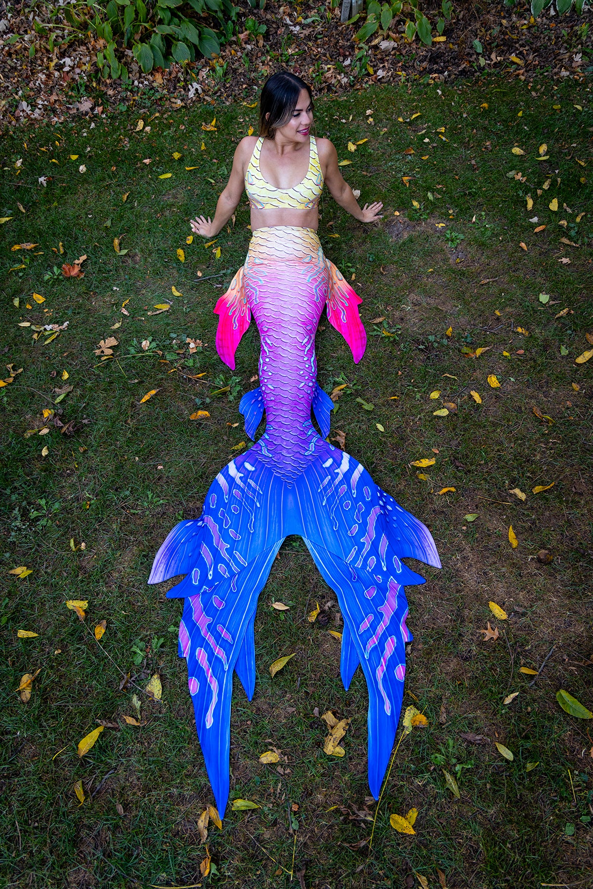 Fairy GalleryTail - Premium Handmade Fairy Wings for Cosplay, Halloween Costumes, and Fantasy Photography - Perfect for Costume Parties, Themed Events, and Creative Photo Shoots
