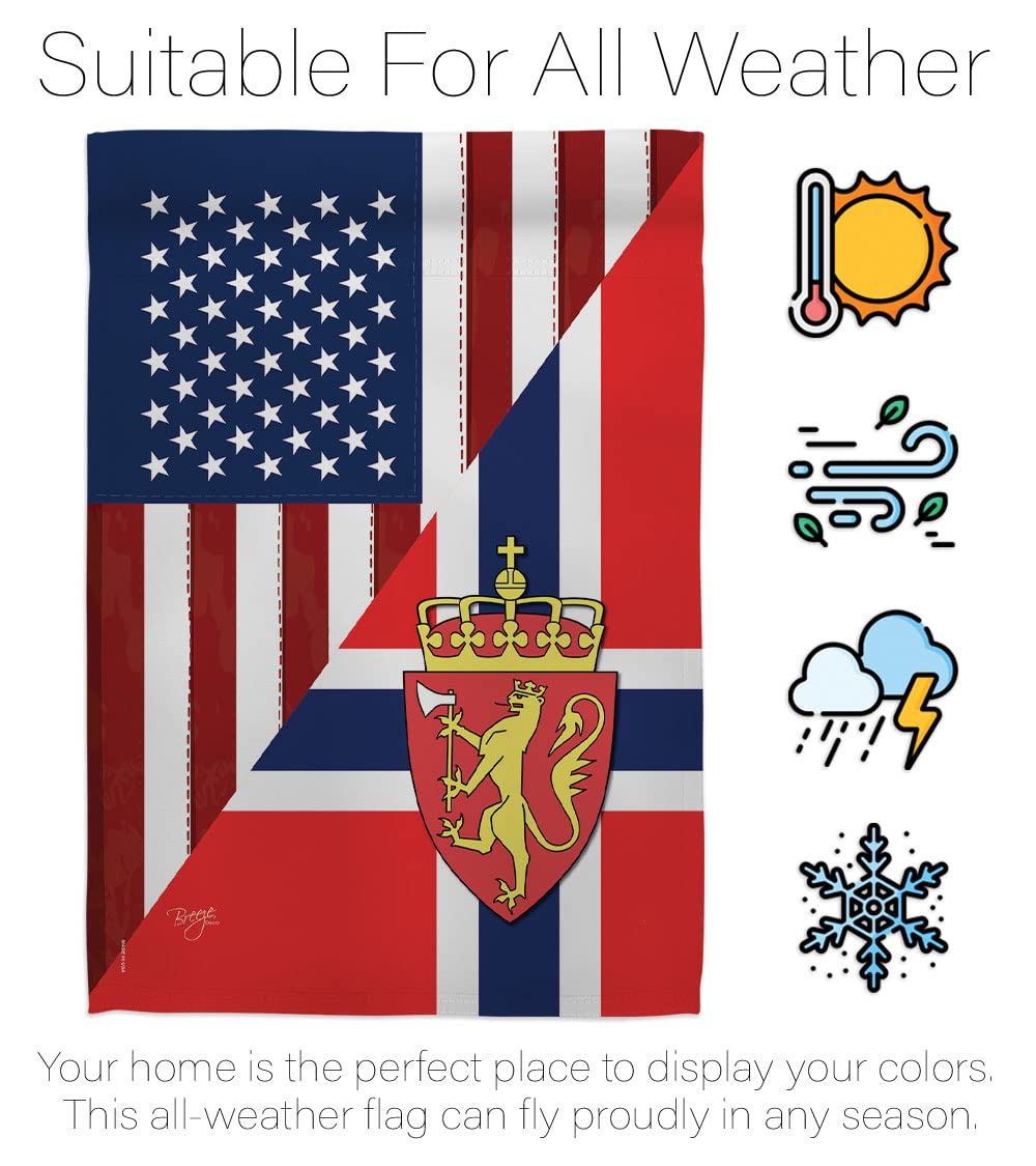 Norway-US Friendship House Flag Set 28x40