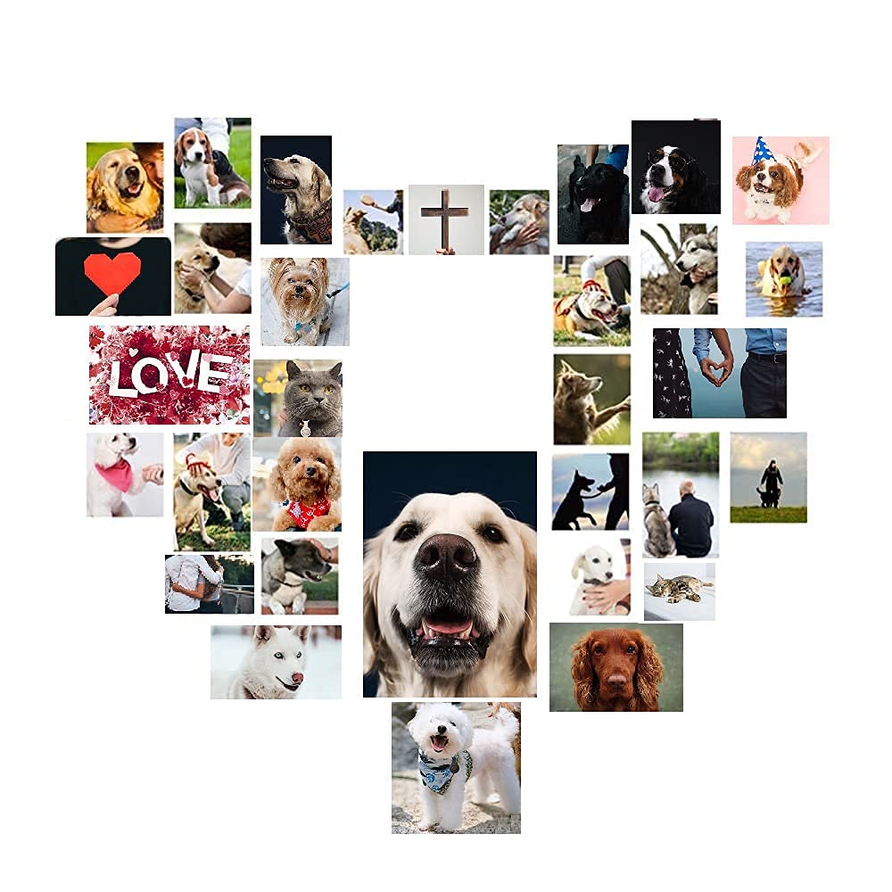Stainless Steel Pet Memorial Necklace - Christian Dog Cremation Urn Pendant for Ashes, Keepsake Jewelry for Lost Pets | Perfect for Pet Owners to Carry Memories Always