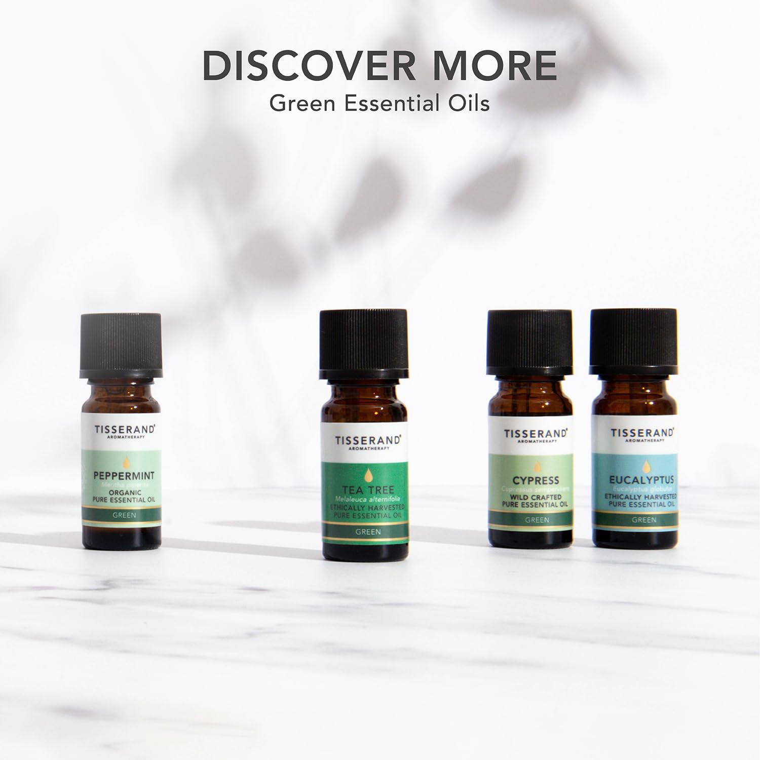 **Tisserand Organic Tea Tree Essential Oil - 100% Pure Natural Aromatherapy Oil for Massage, Skin Care & Diffusers | 20ml | Relaxation, Stress Relief & Home Spa**