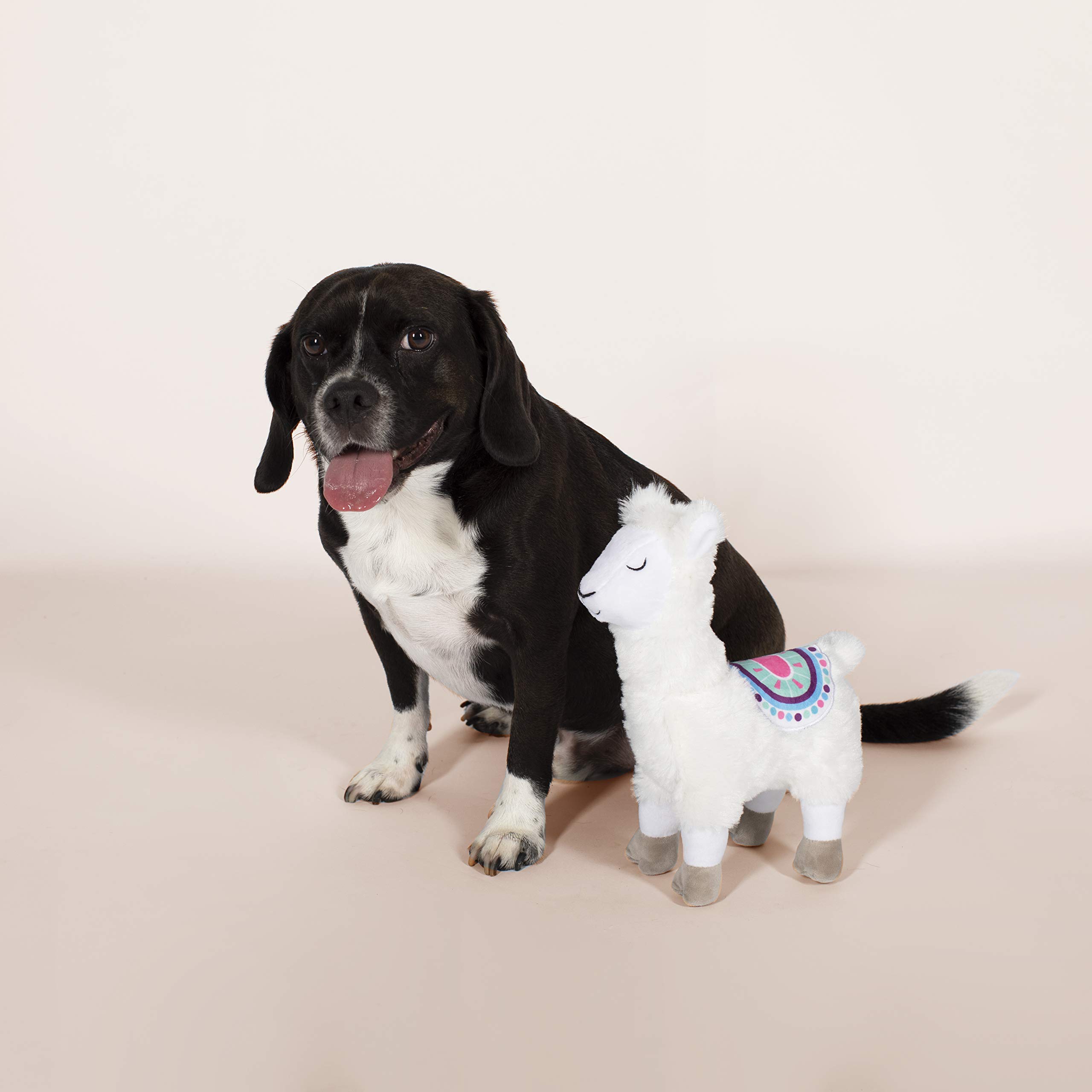 FRINGE STUDIO No Drama Llama Dog Toy - Durable Chew Toy for Small & Medium Dogs - Perfect for Playtime, Training & Cuddling