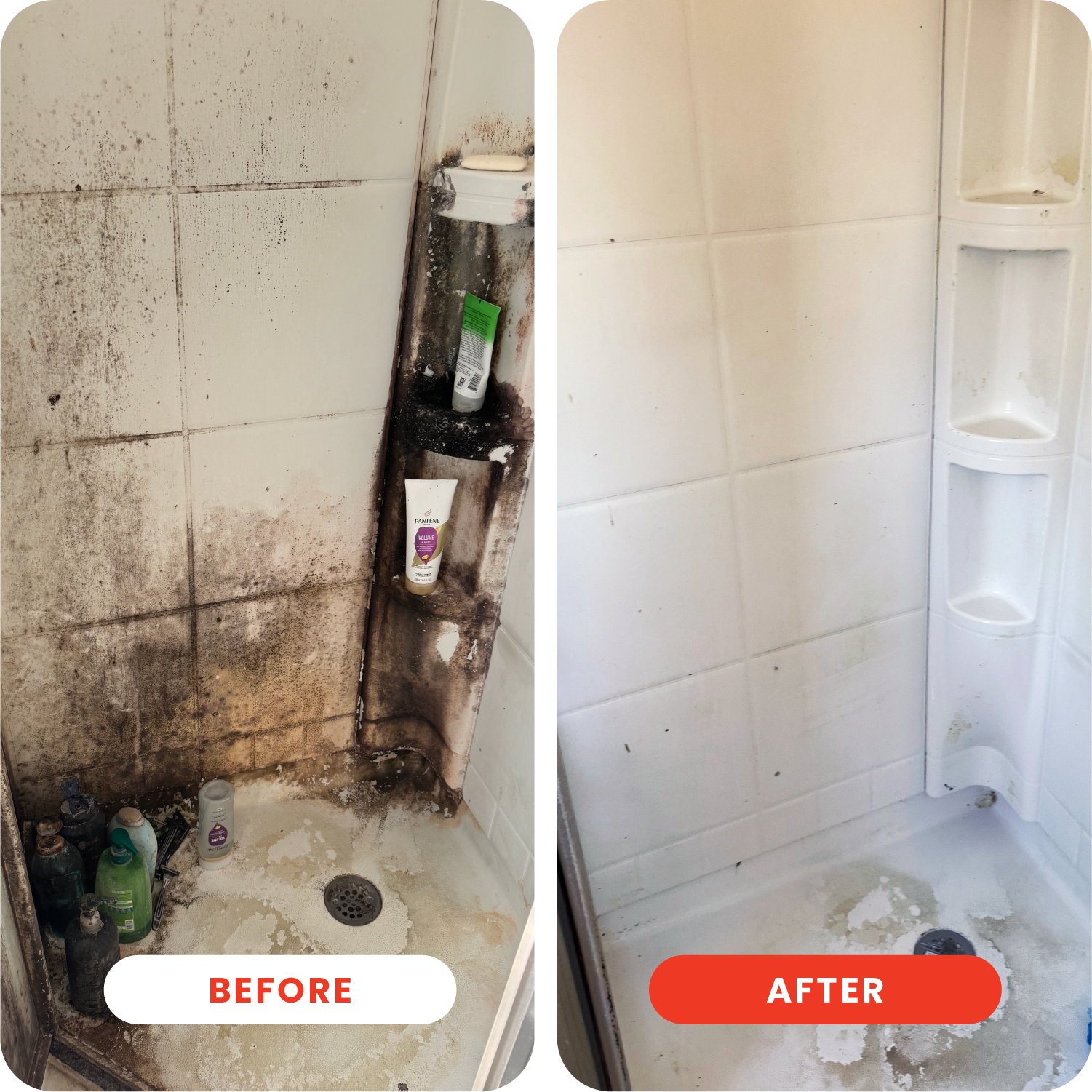 Powerful DOT Extra Strength Mold Stain Remover Spray - Fast Acting Formula for Bathroom, Kitchen & Shower Tiles - Eliminates Tough Stains & Prevents Regrowth