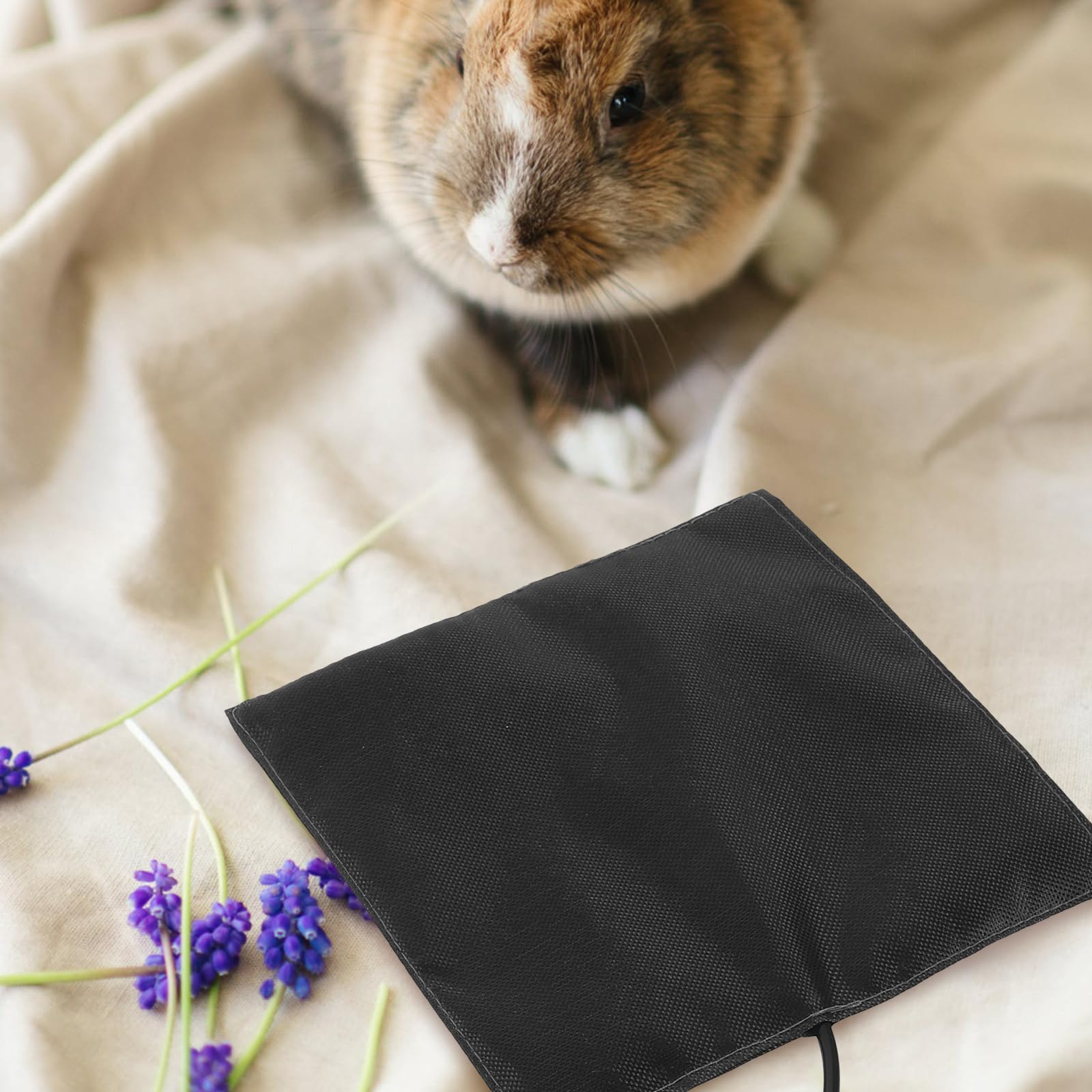 Electric Heating Pad for Small Pets - Hamster, Reptile, Parrot Terrarium Warmer Mat with Carbon Fiber Technology | Cozy Pet Cage Heated Blanket for Winter Warmth & Comfort
